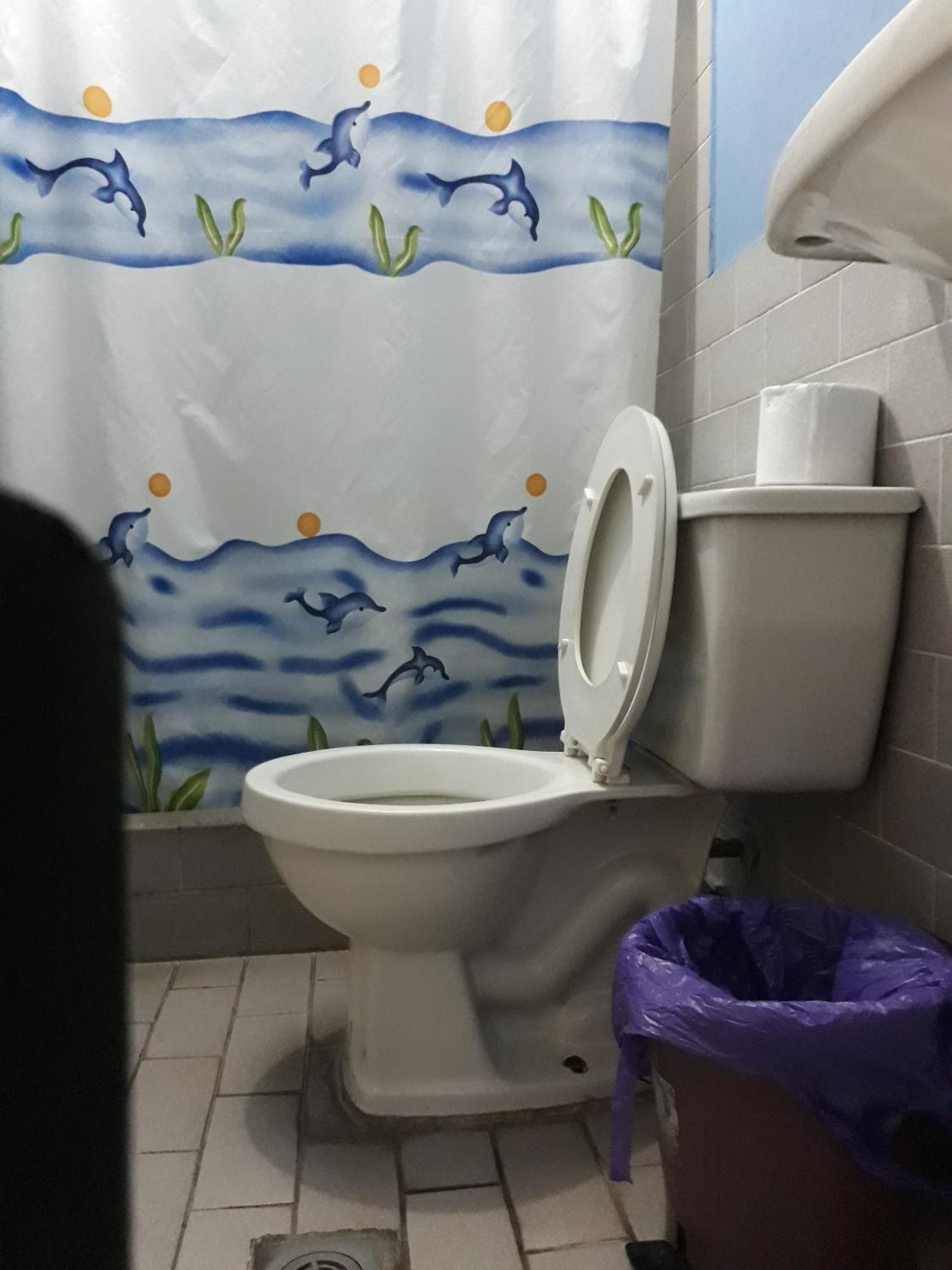 Photo 34