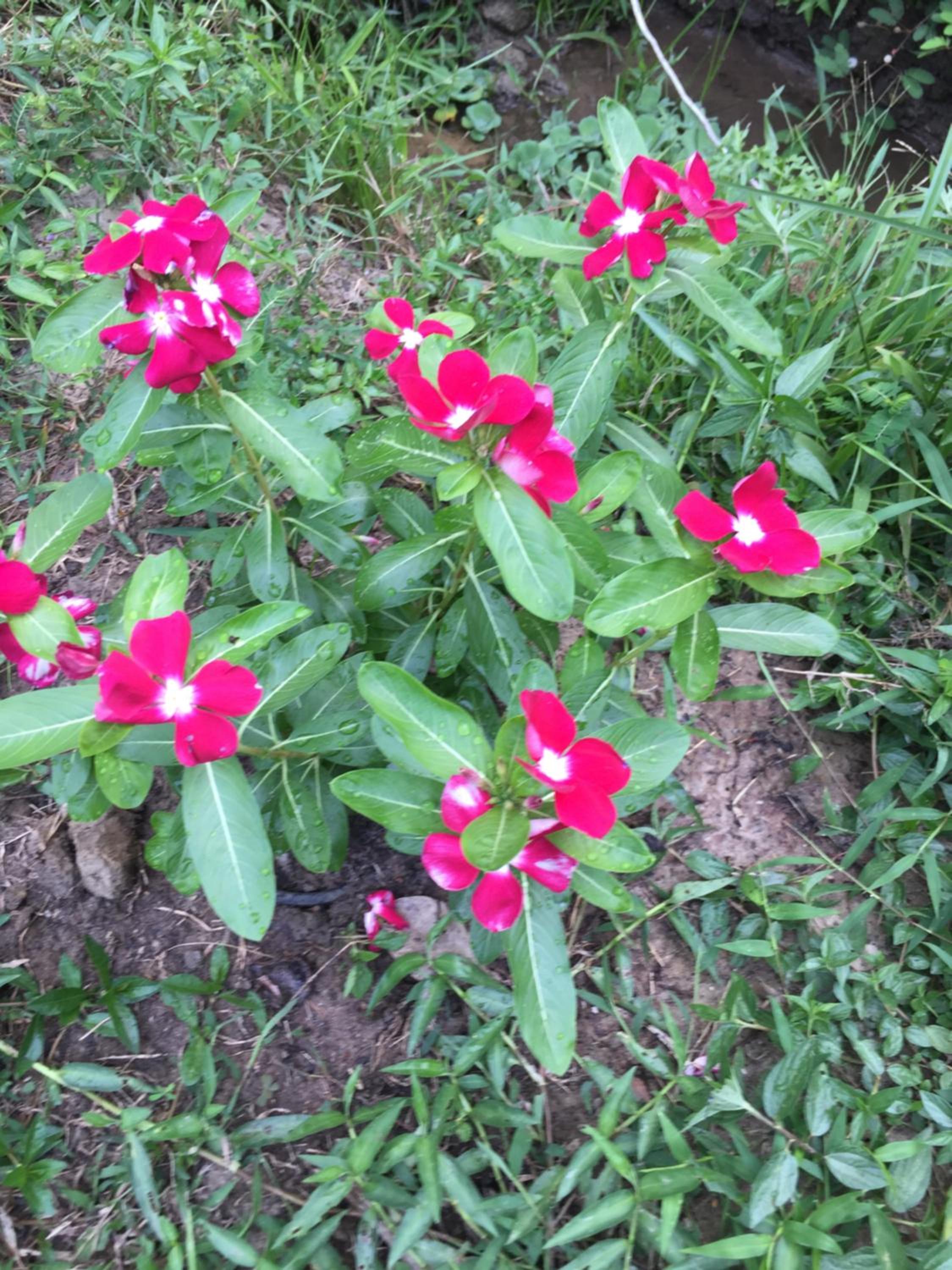 Photo 29