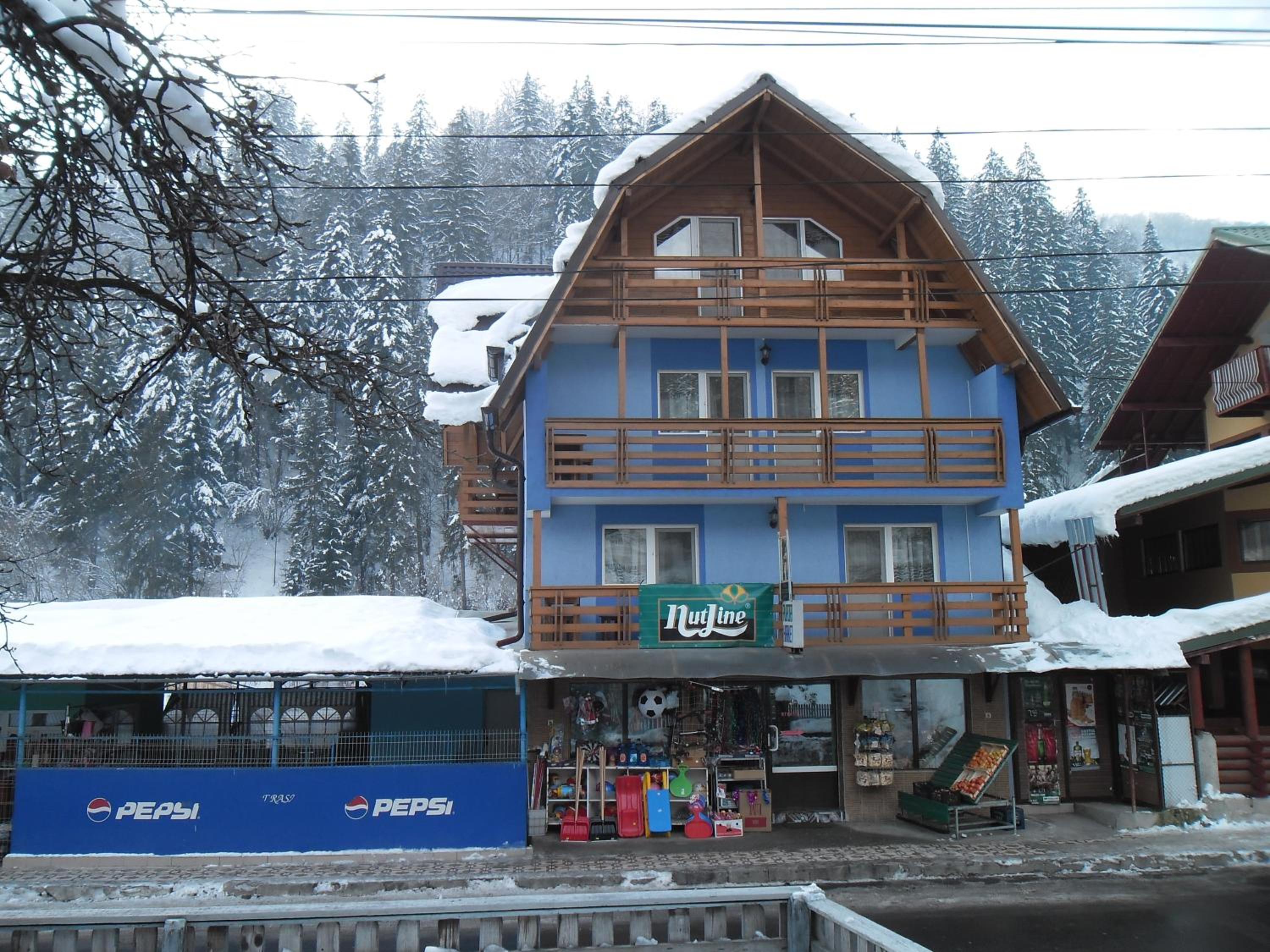 Photo 11
