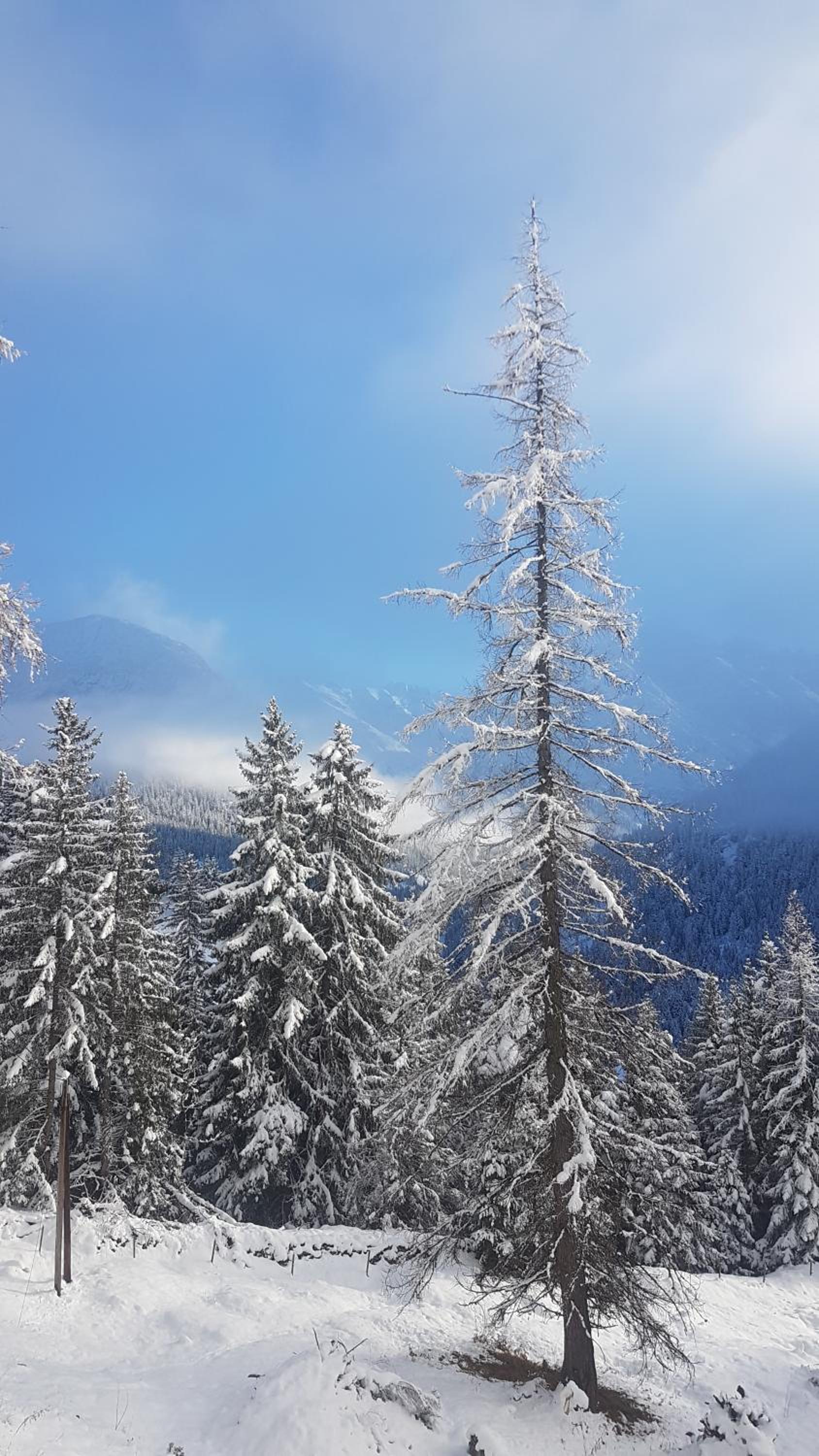 Auszeit Chalets