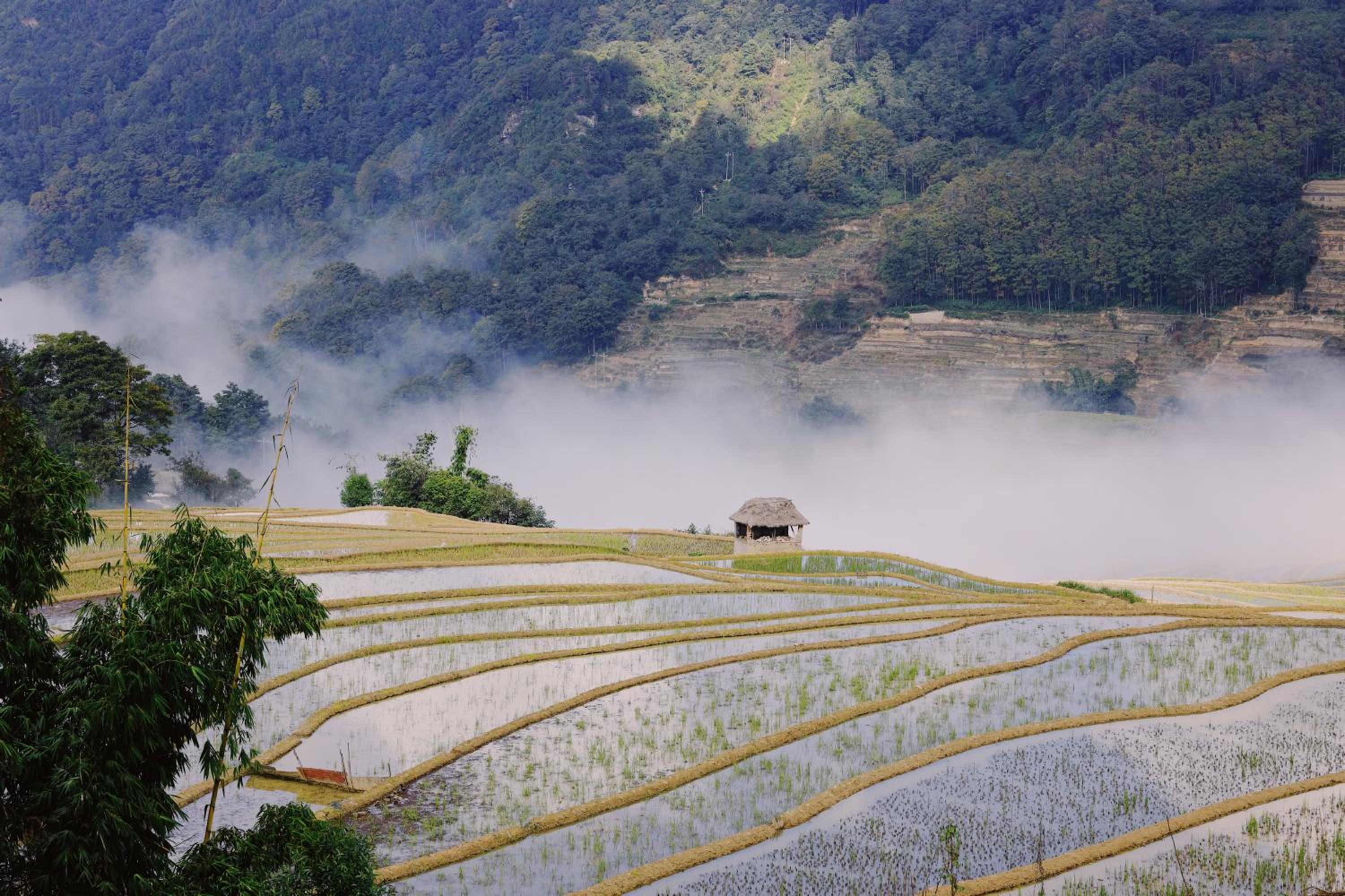 Twelve Manor Xiangdian Yuanyang Rice Terraces Retreat