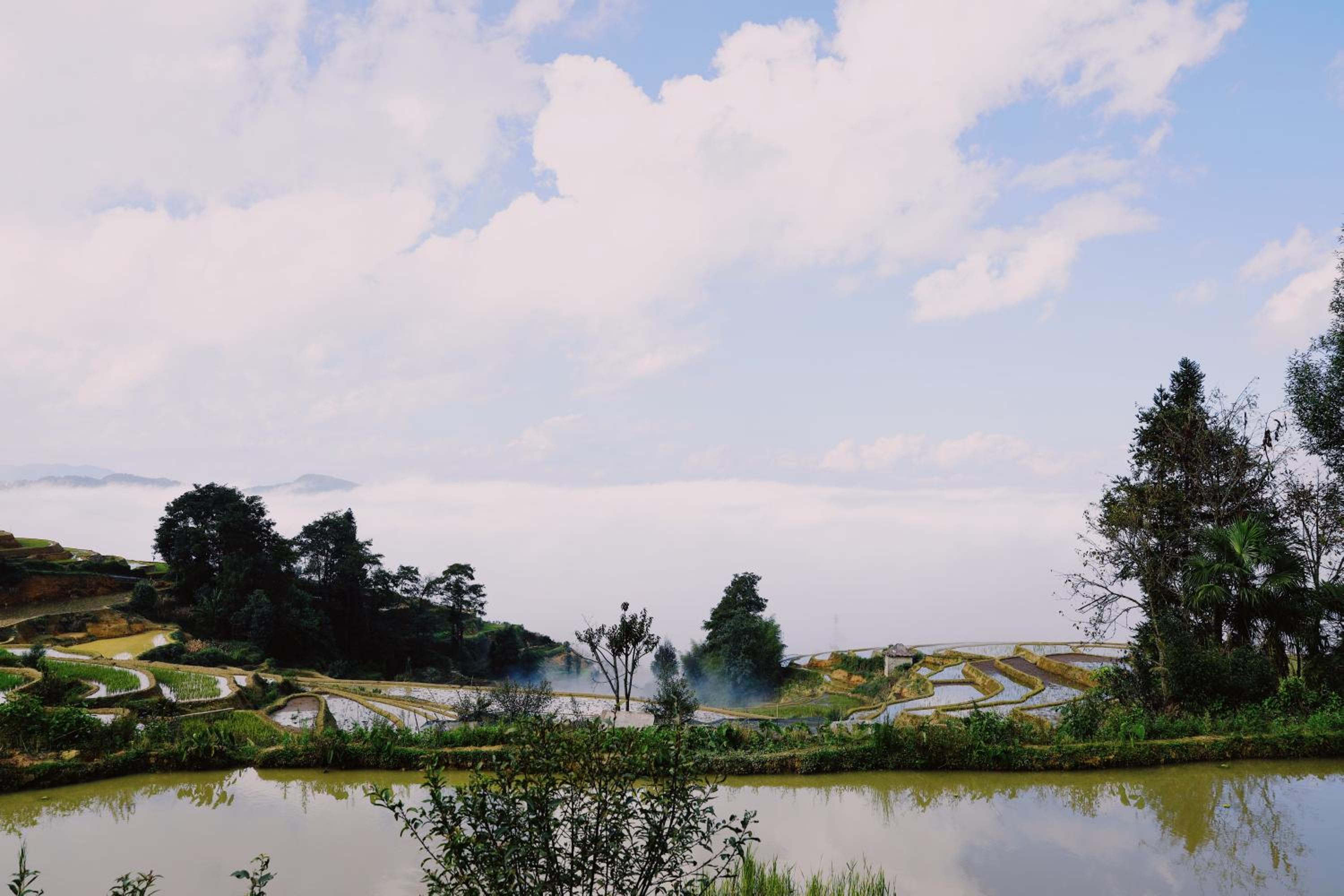Twelve Manor Xiangdian Yuanyang Rice Terraces Retreat