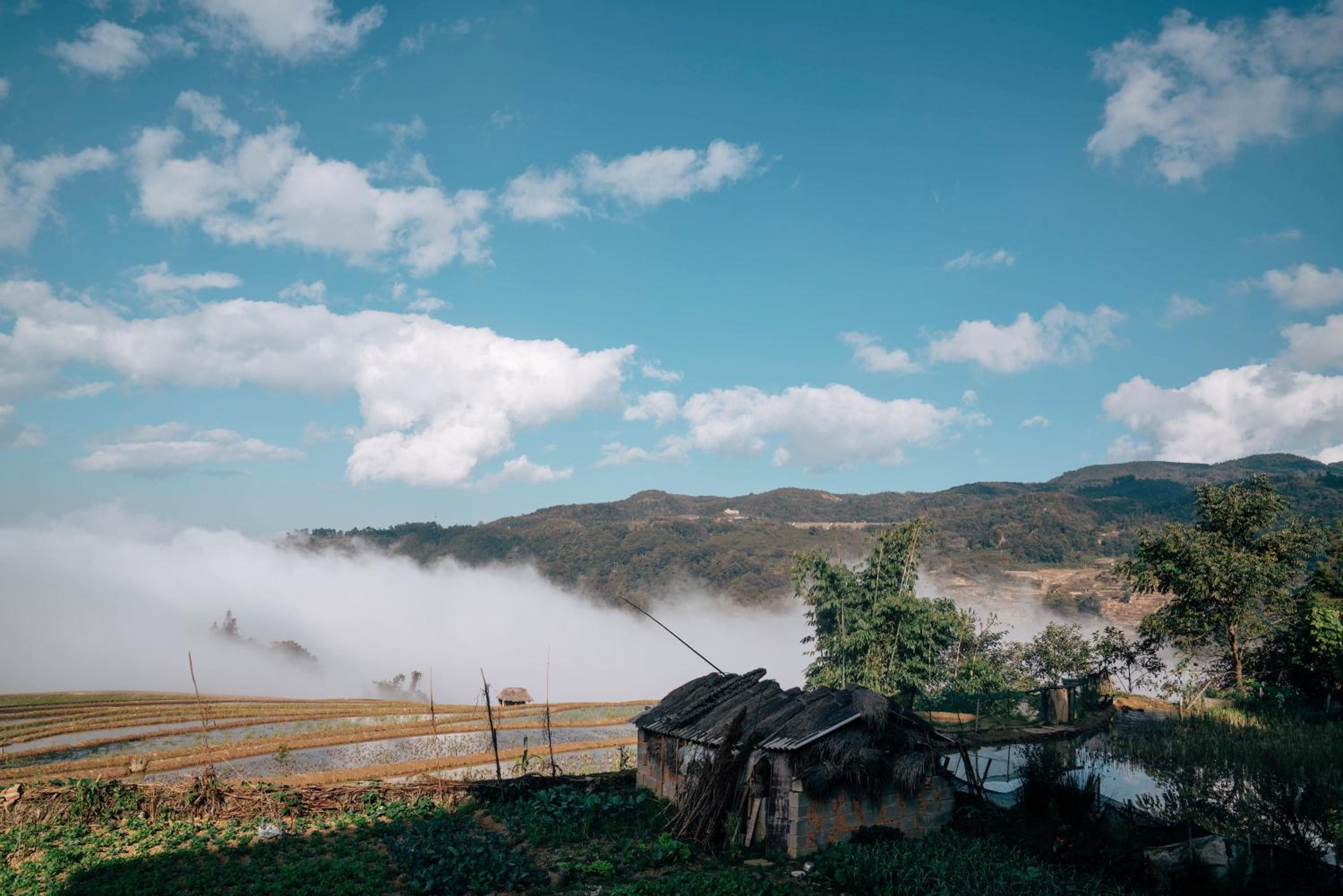 Twelve Manor Xiangdian Yuanyang Rice Terraces Retreat