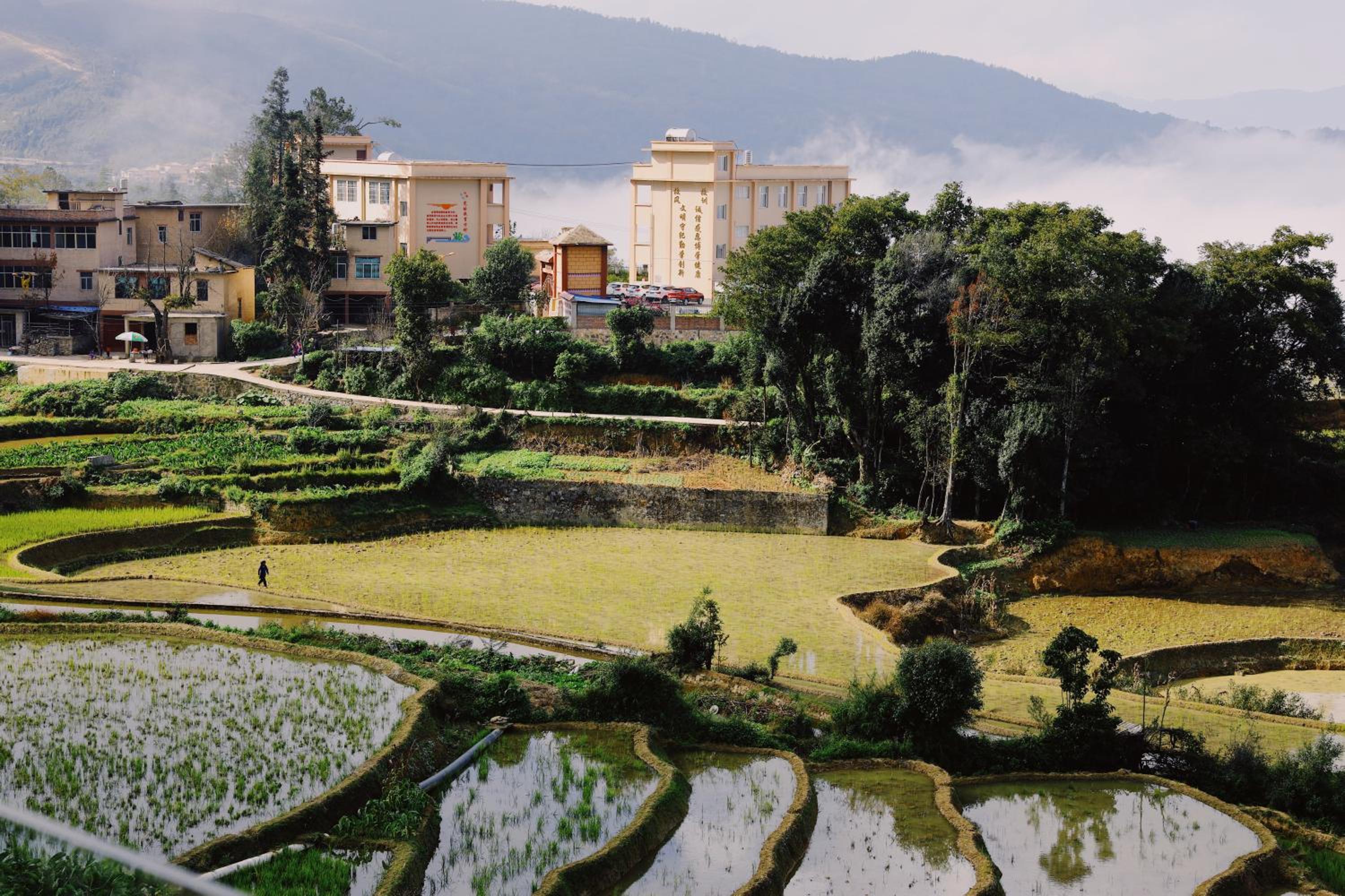 Twelve Manor Xiangdian Yuanyang Rice Terraces Retreat