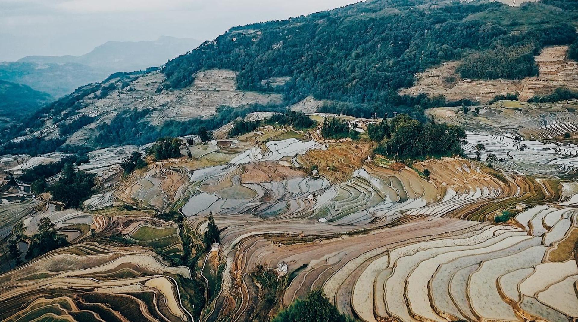 Twelve Manor Xiangdian Yuanyang Rice Terraces Retreat