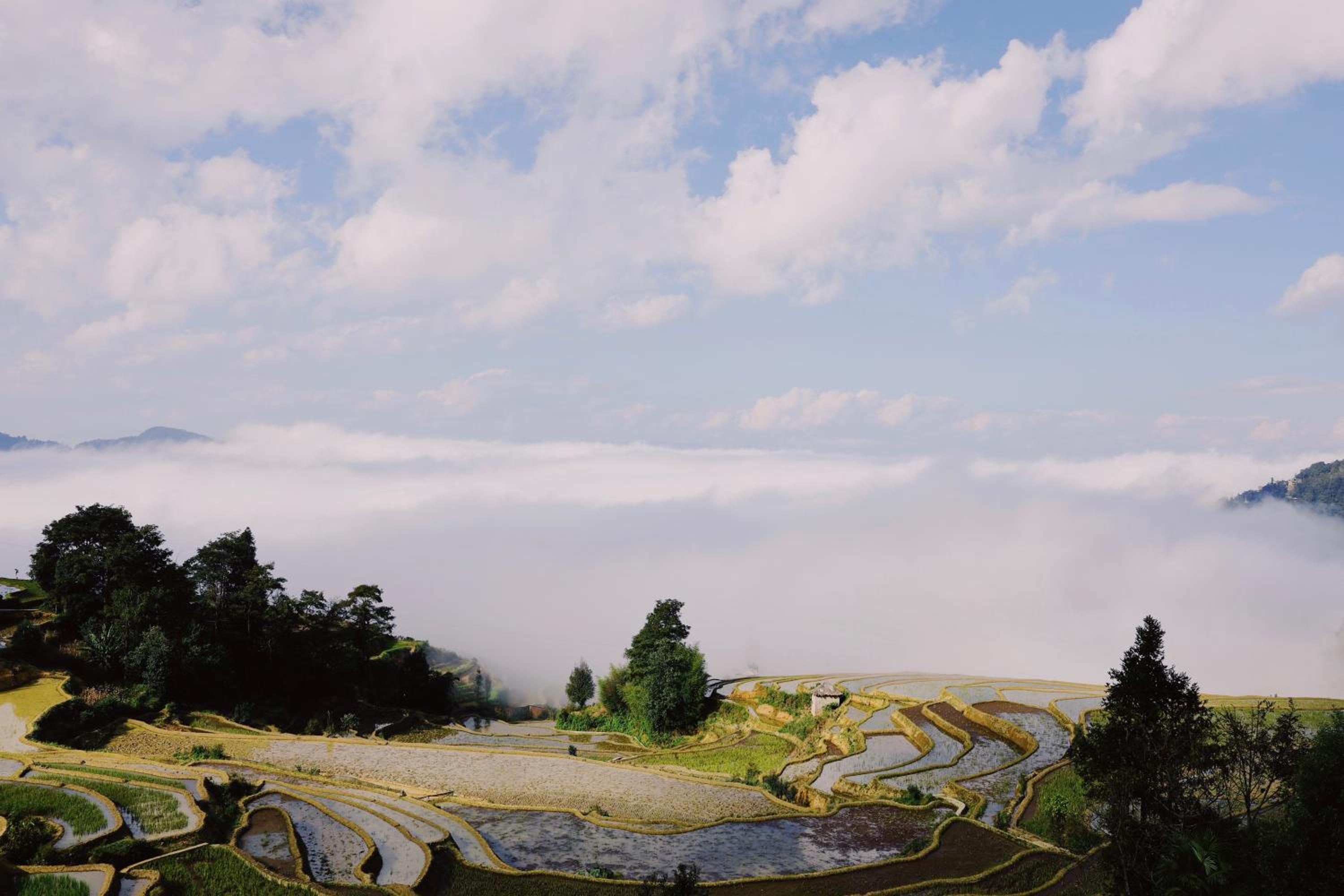 Twelve Manor Xiangdian Yuanyang Rice Terraces Retreat