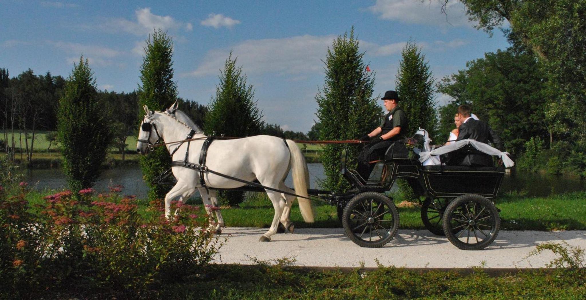 Statek Sedlečko