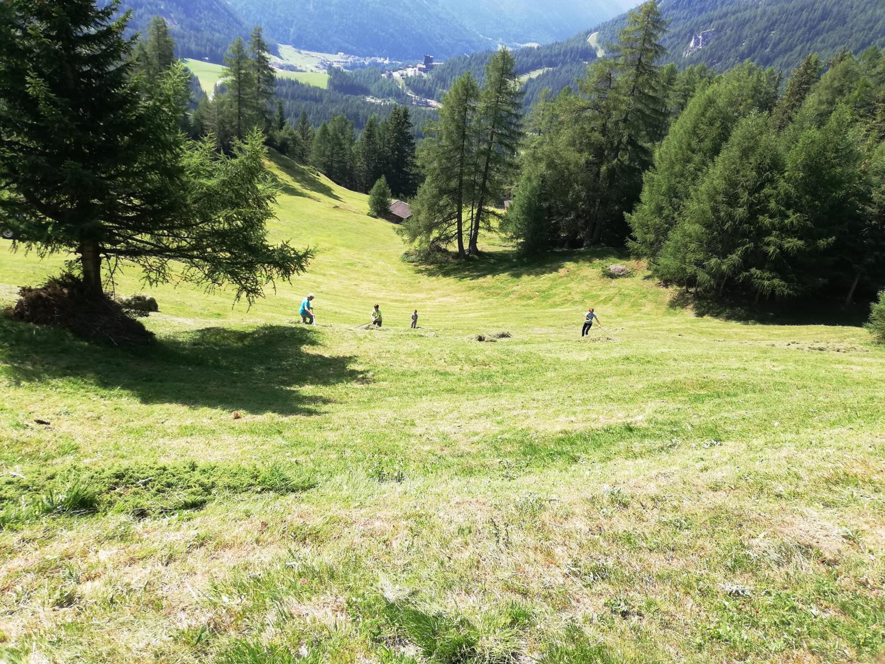 Wurlerhof