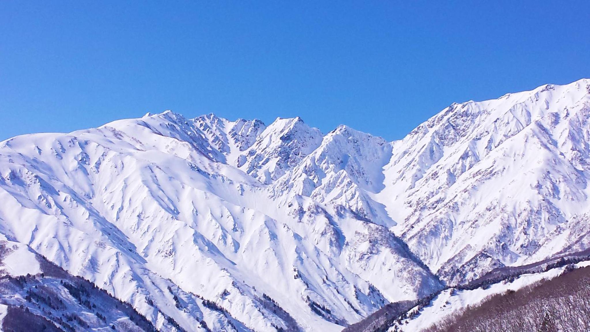 Schole Hakuba