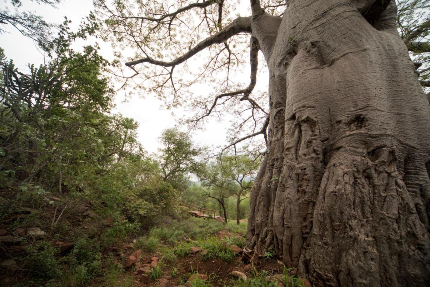 Kilima Private Game Reserve & Spa