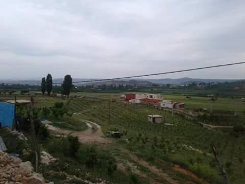 Photo 21