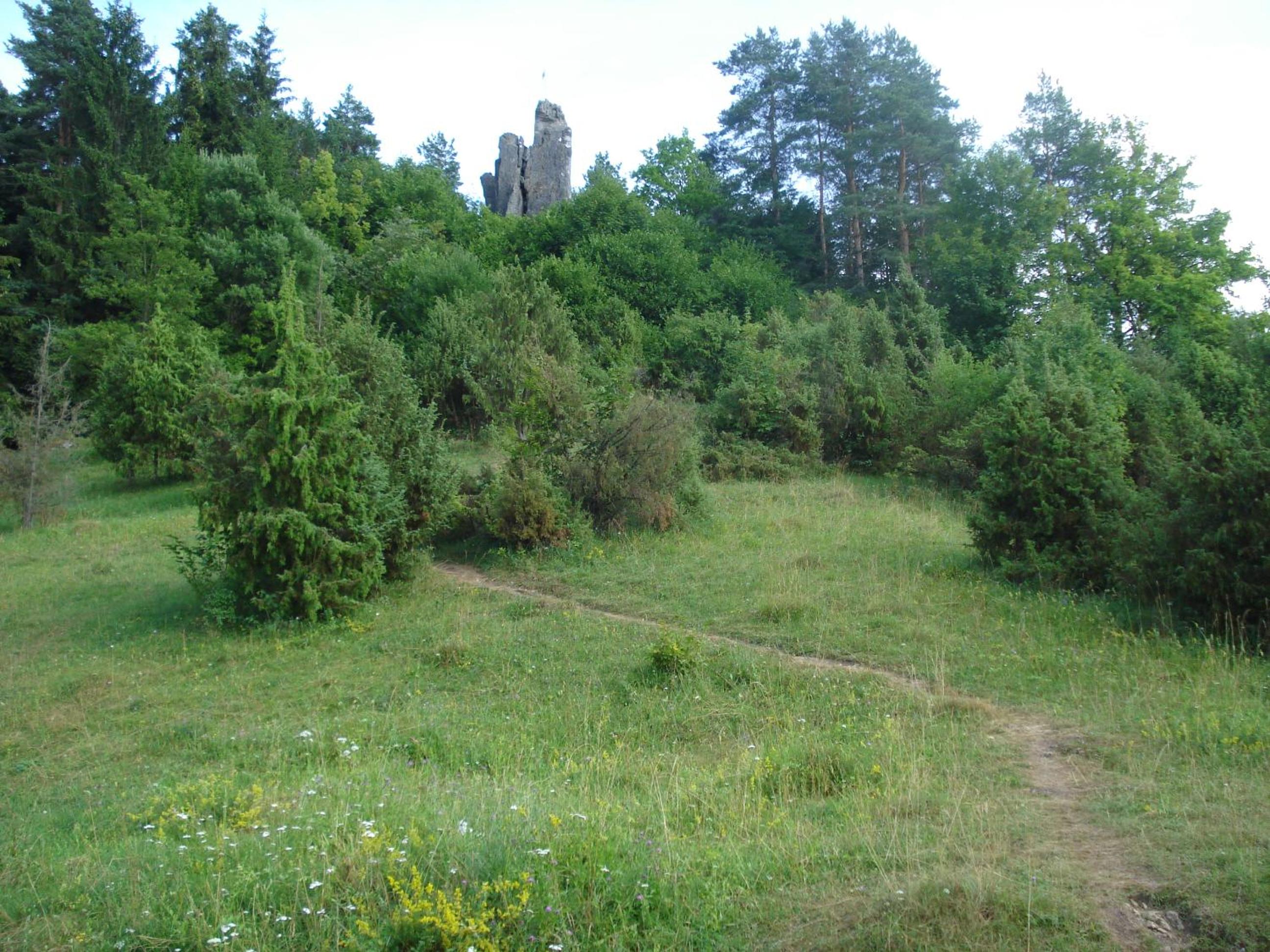 Ferienhof Hohe