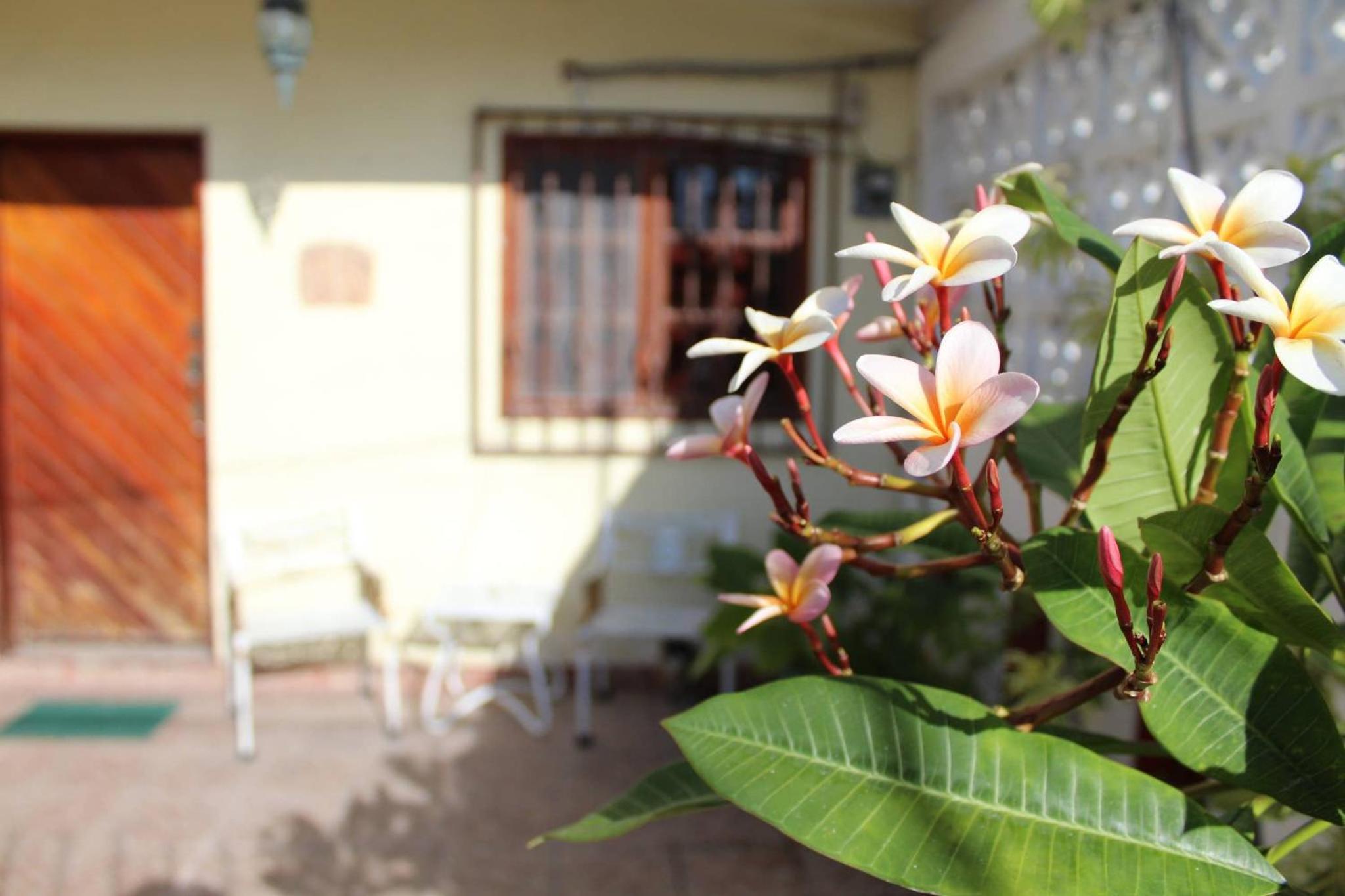Cancun Guest House 3 near Ado bus terminal and 25 min from-to airport by shuttle