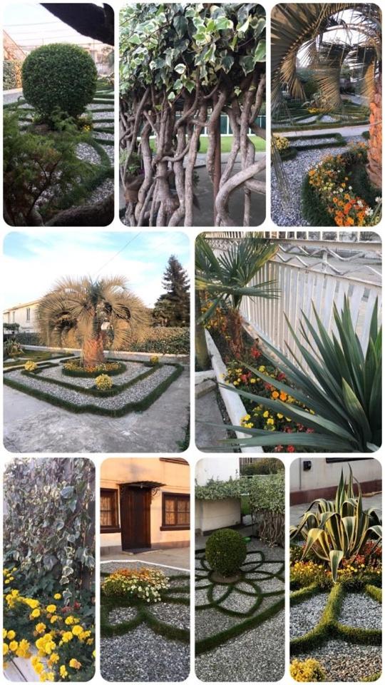 Green Garden view 3