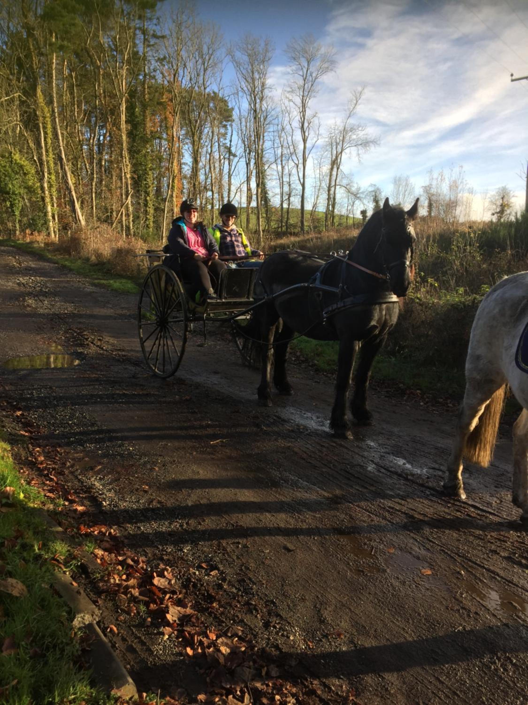 Retreat at The Knowe Auchincruive Estate