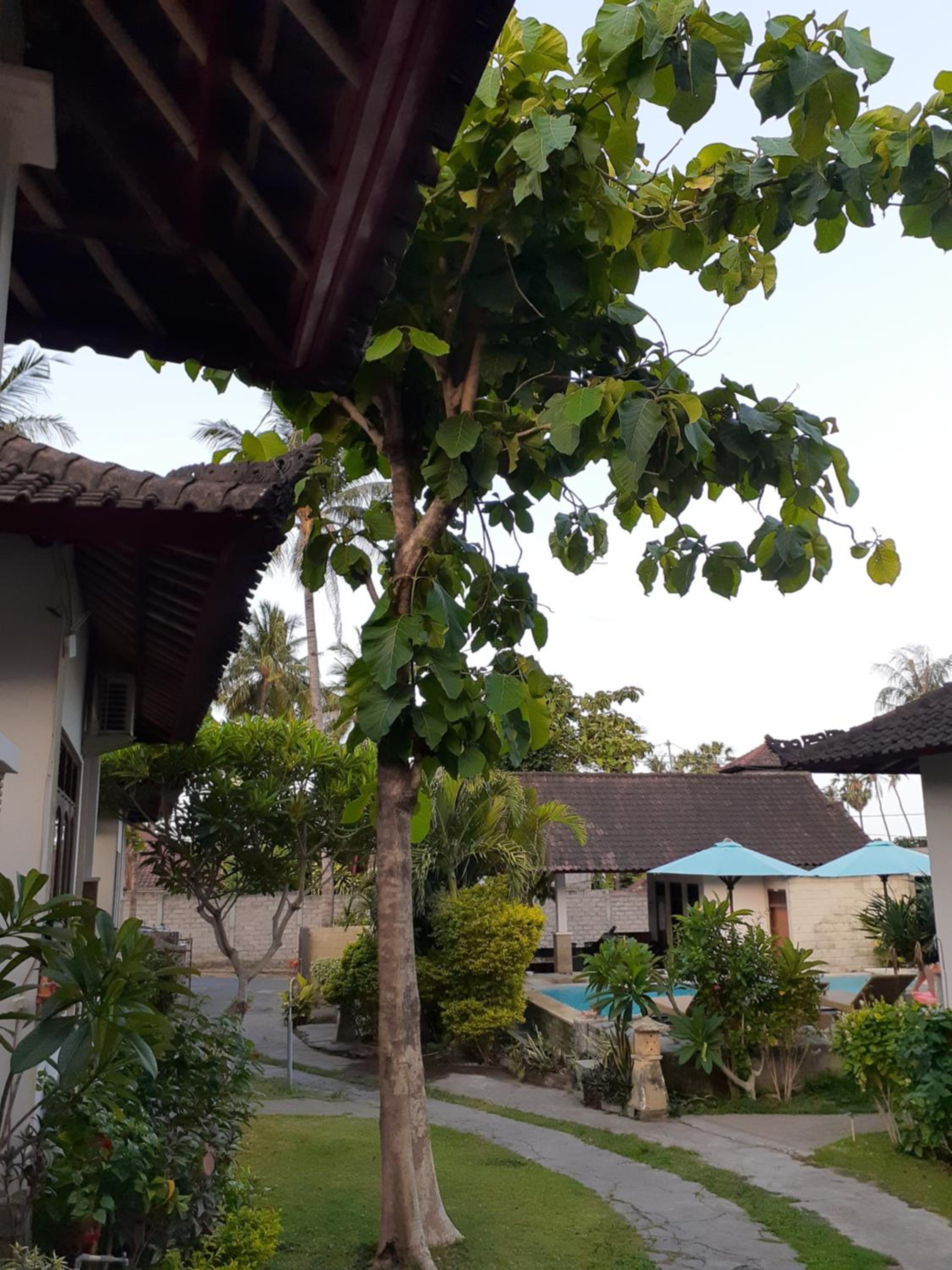 Double One Villas Amed II