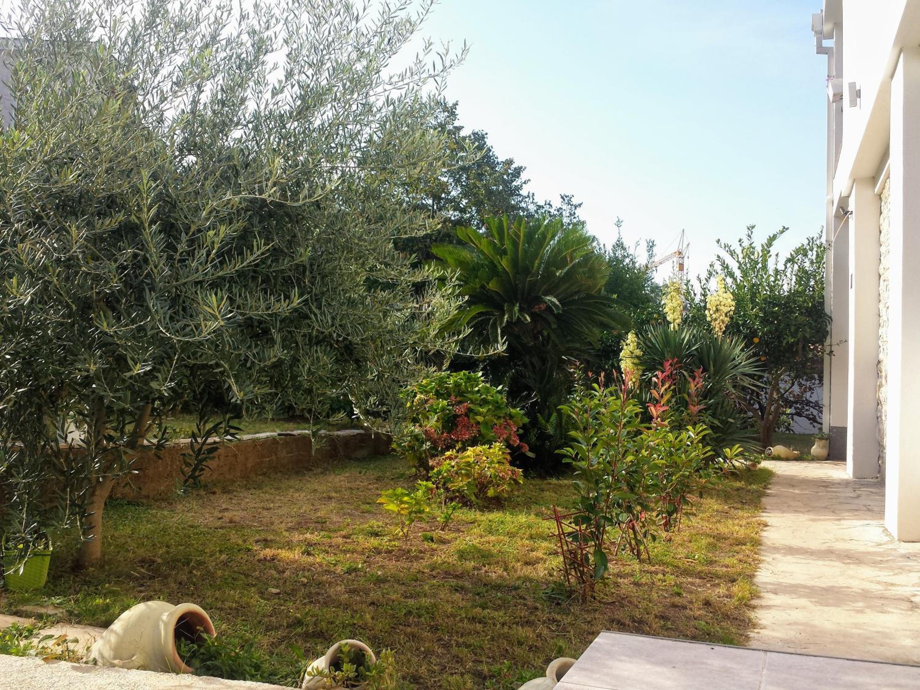 Guest House Djonovic view 3