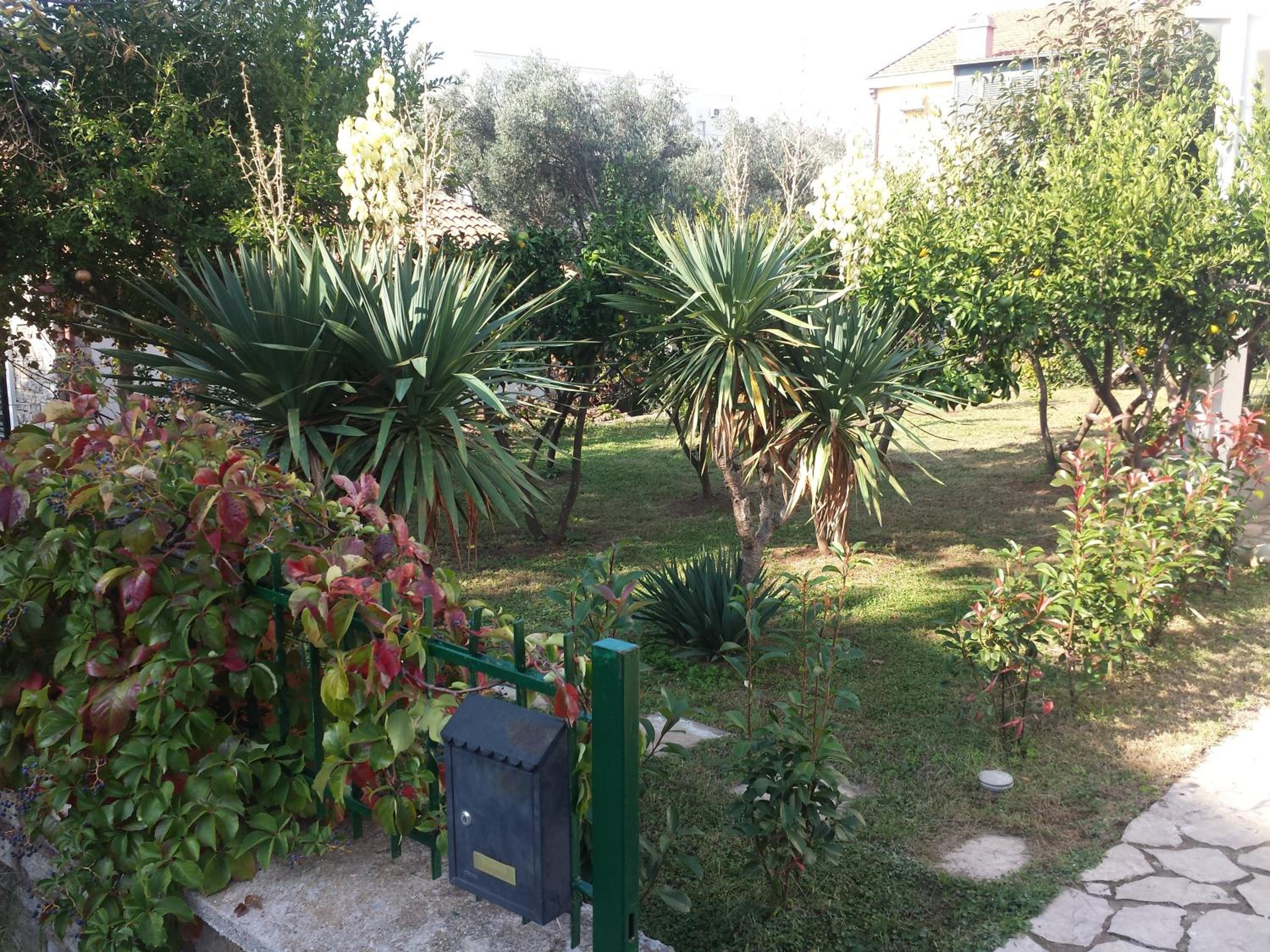 Photo 7