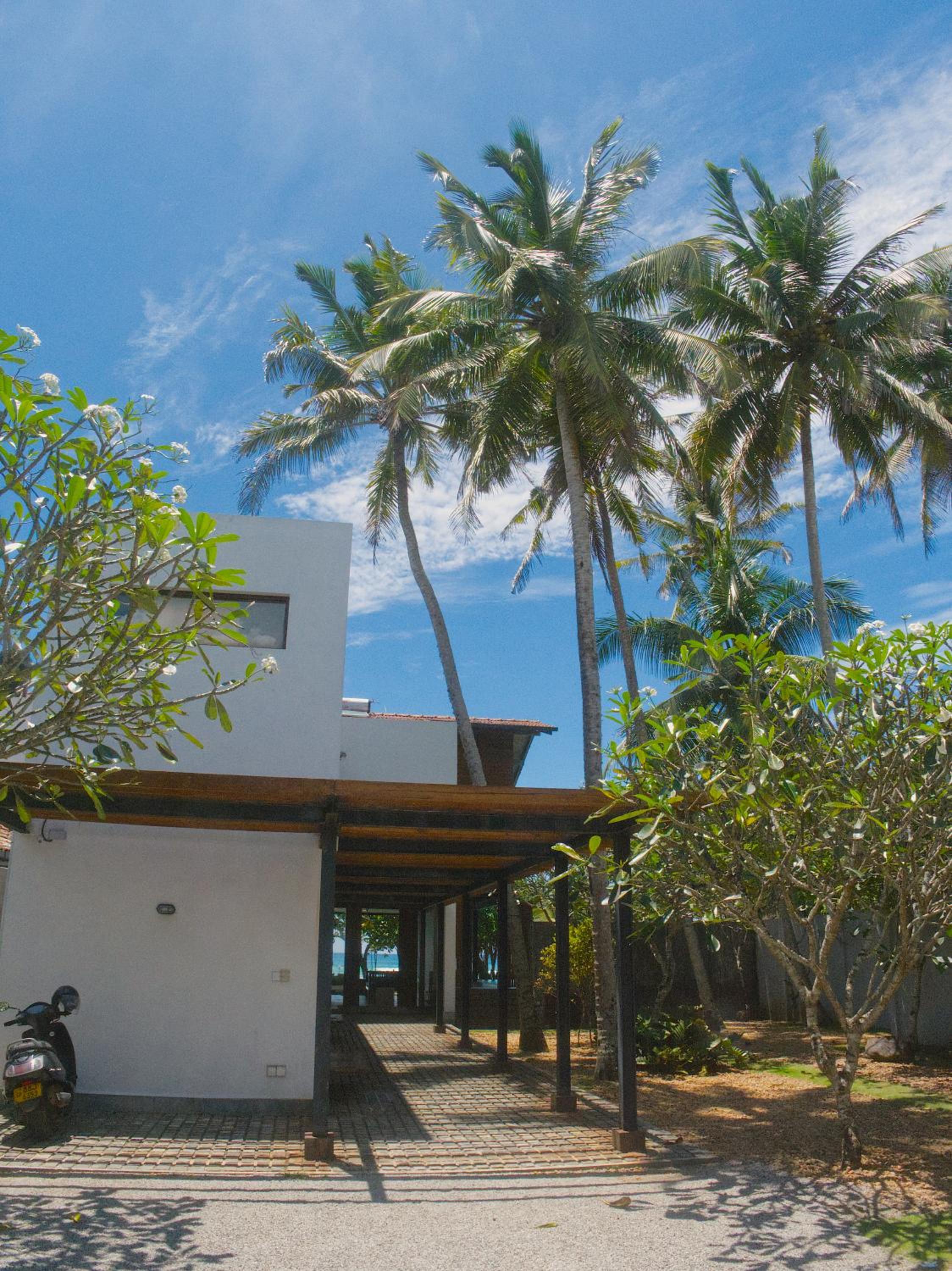 Solas Surf view 4