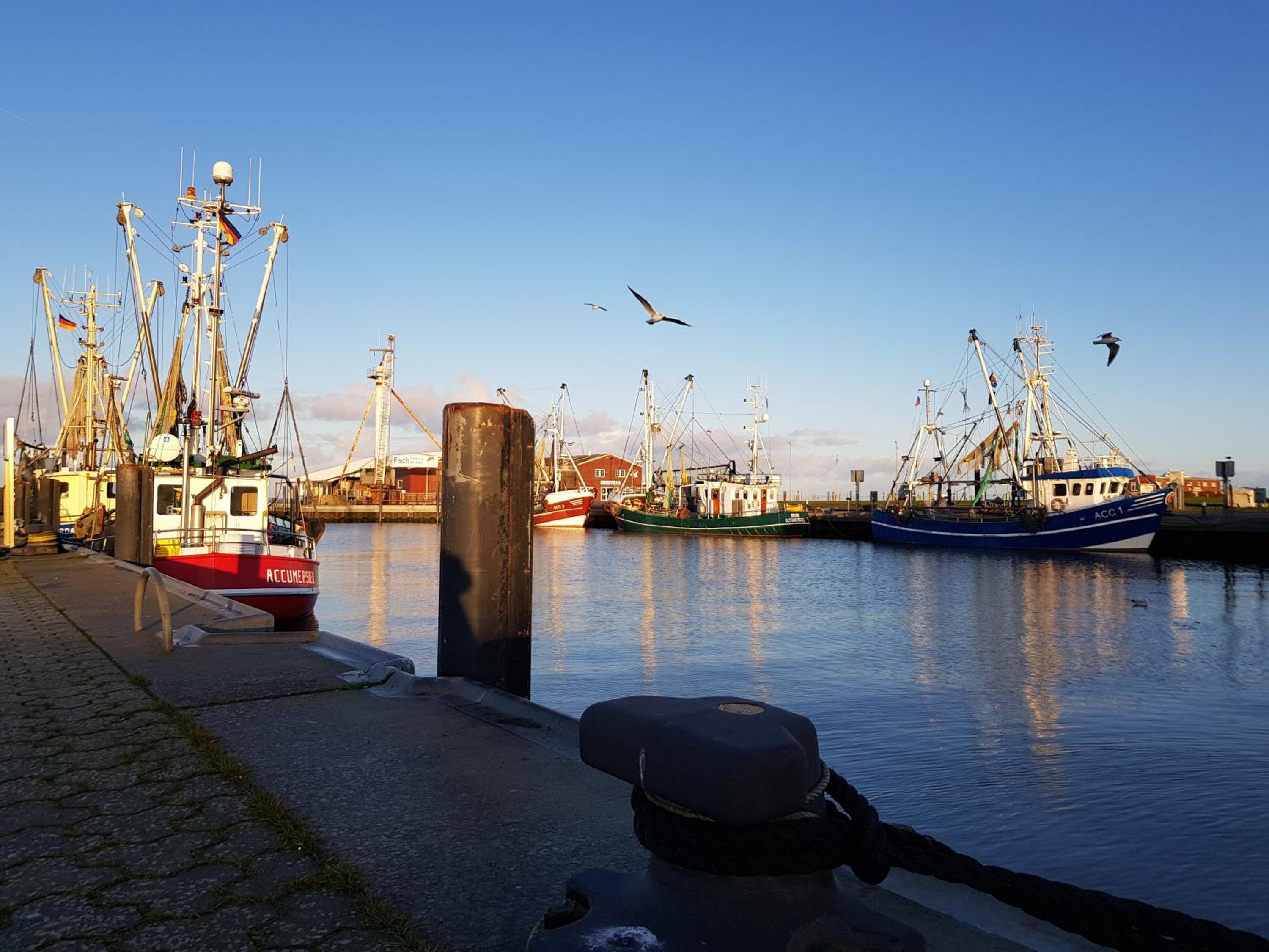 Meerblick - Apartment Blaue Nordseewelle
