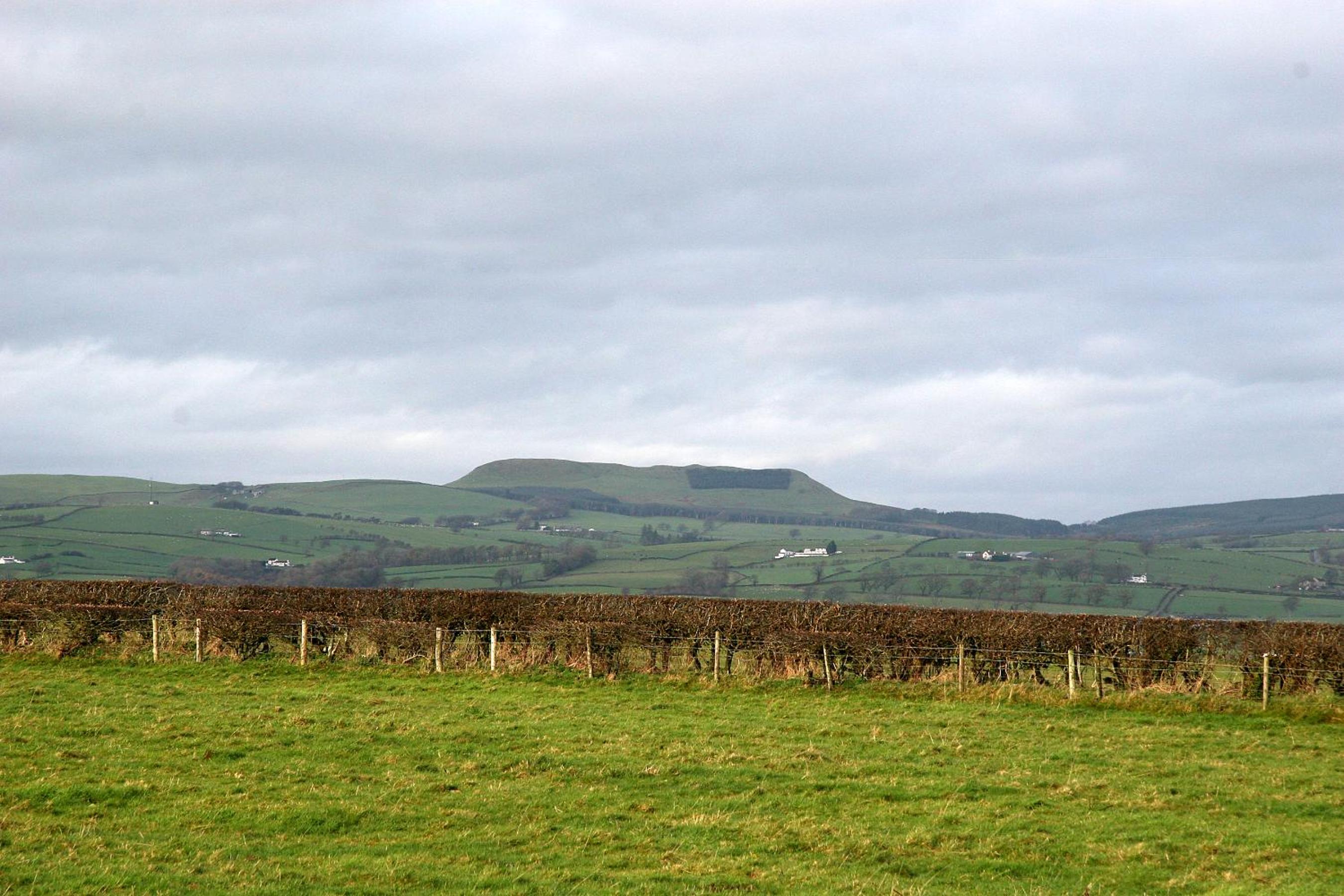 Bonshawbrae
