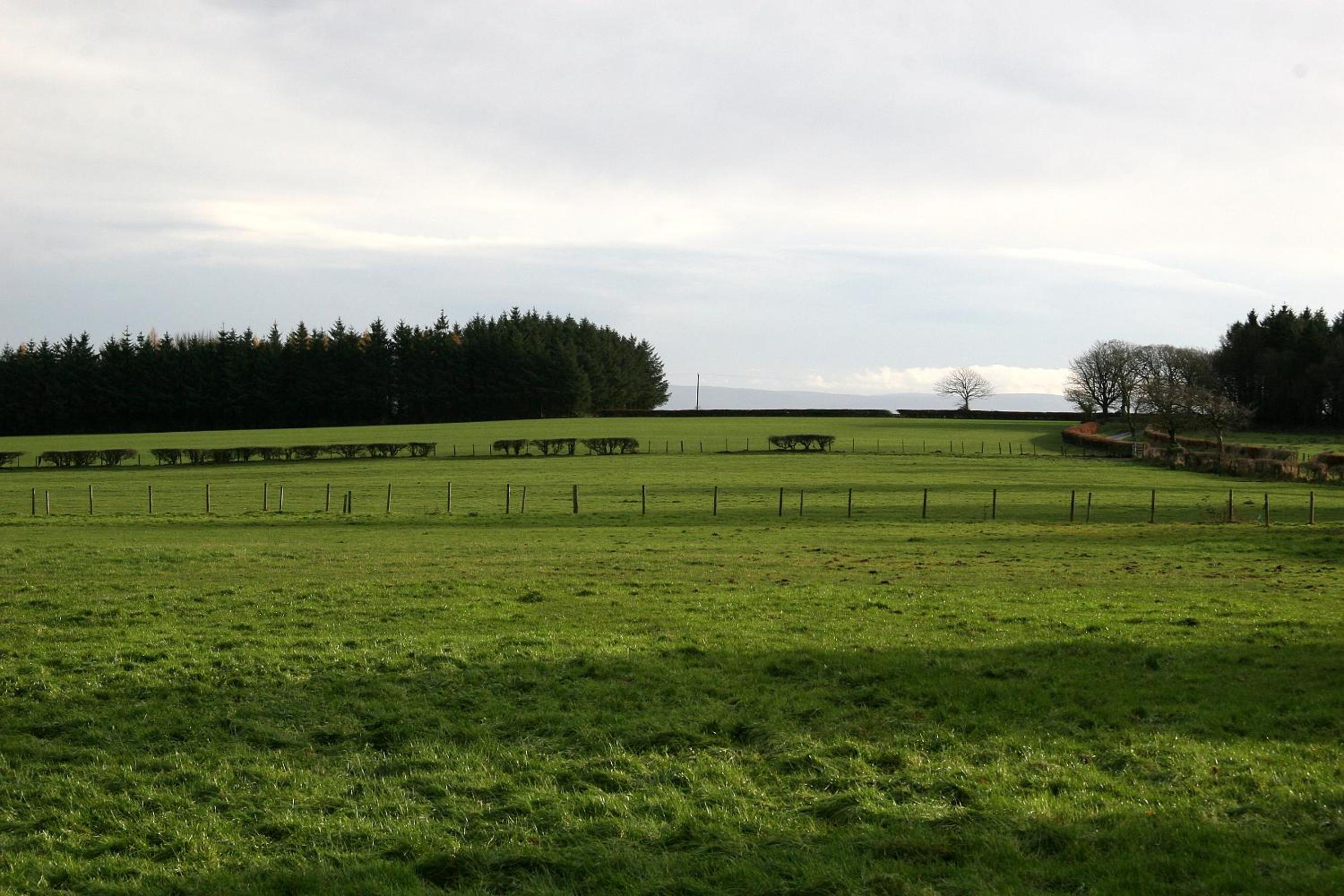 Bonshawbrae