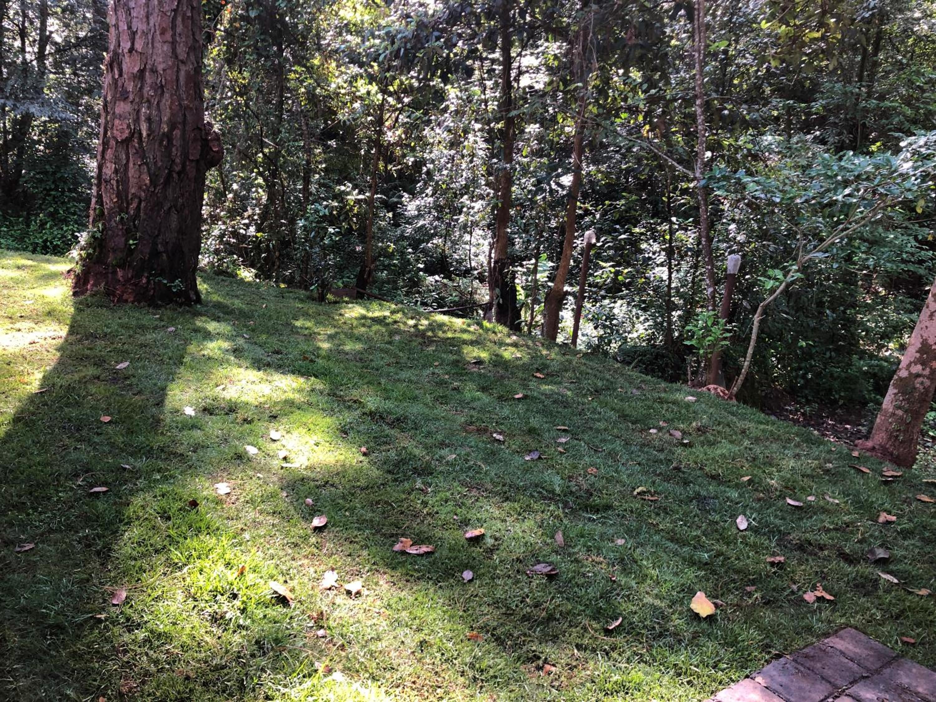 Glamping Rio Valle de Bravo view 3