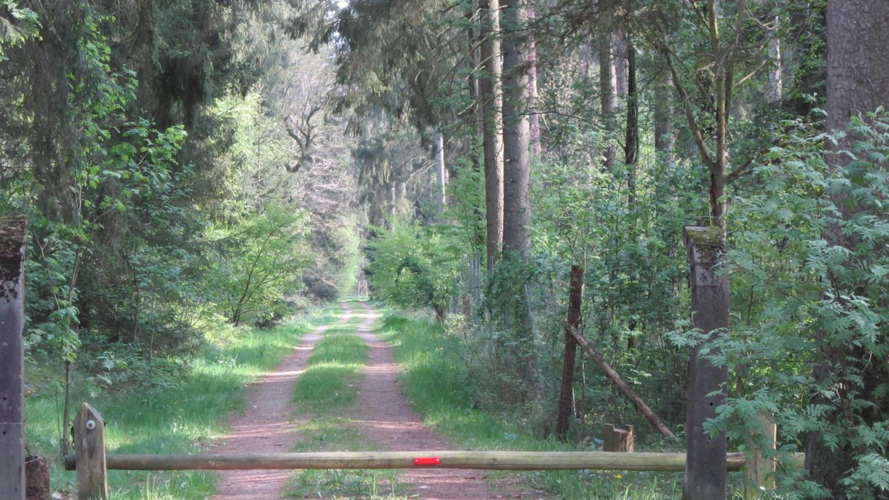 Photo 31