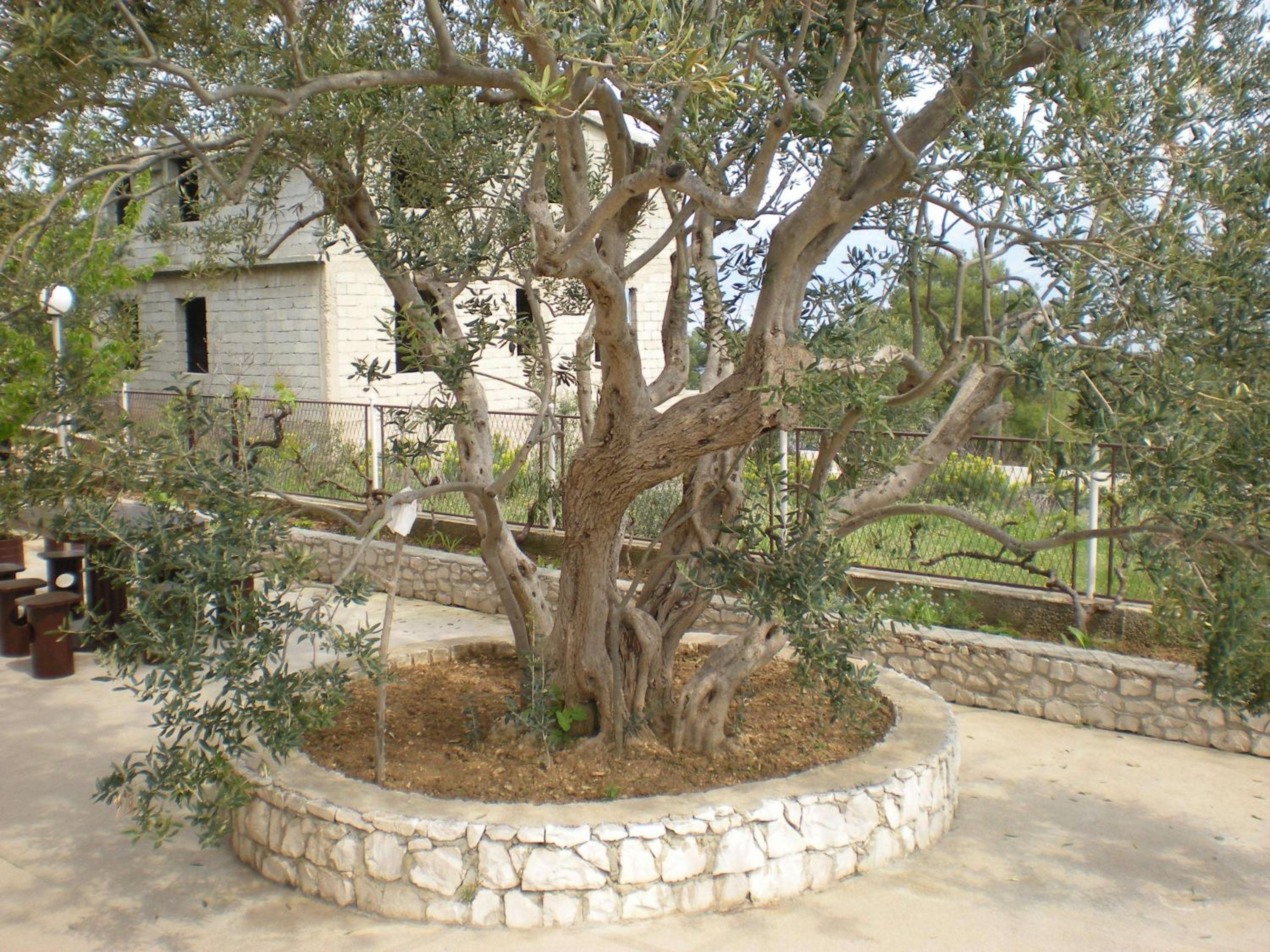 Photo 22