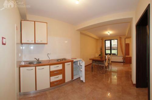 Pension Camelia view 2