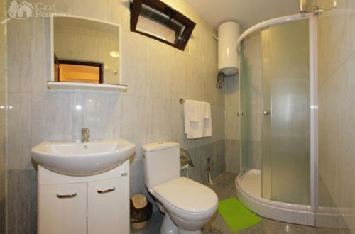 Pension Camelia view 5