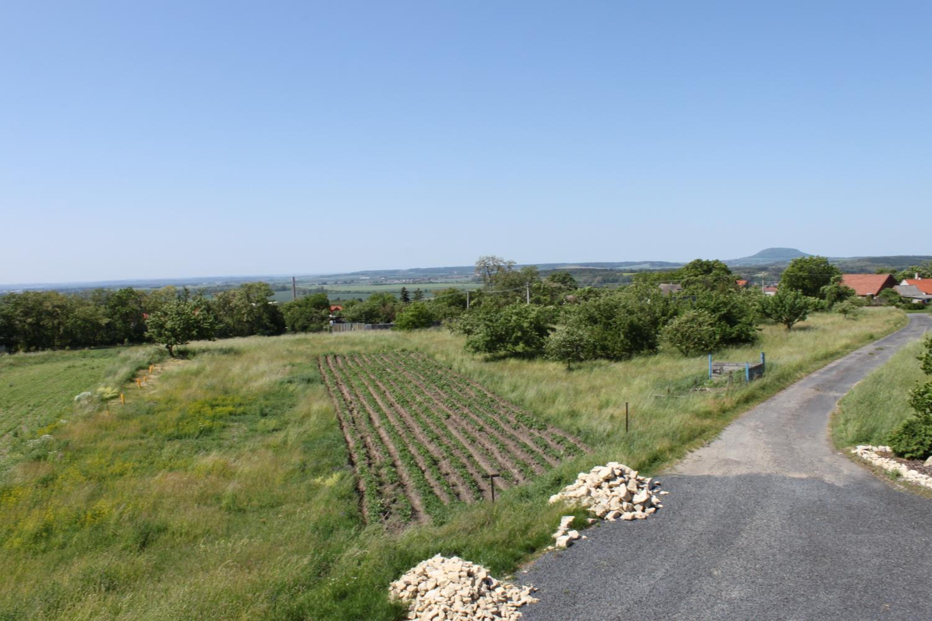 Photo 44
