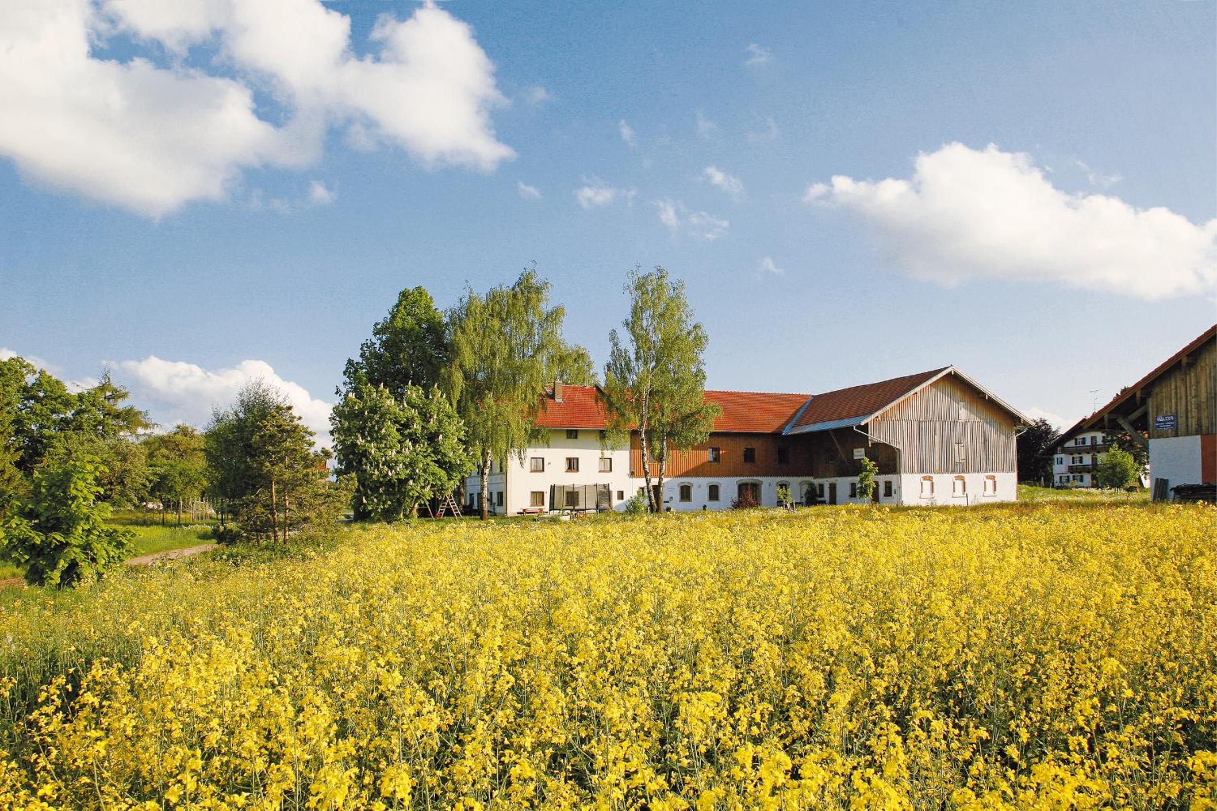 Pension Bernhardhof - Property Image 53
