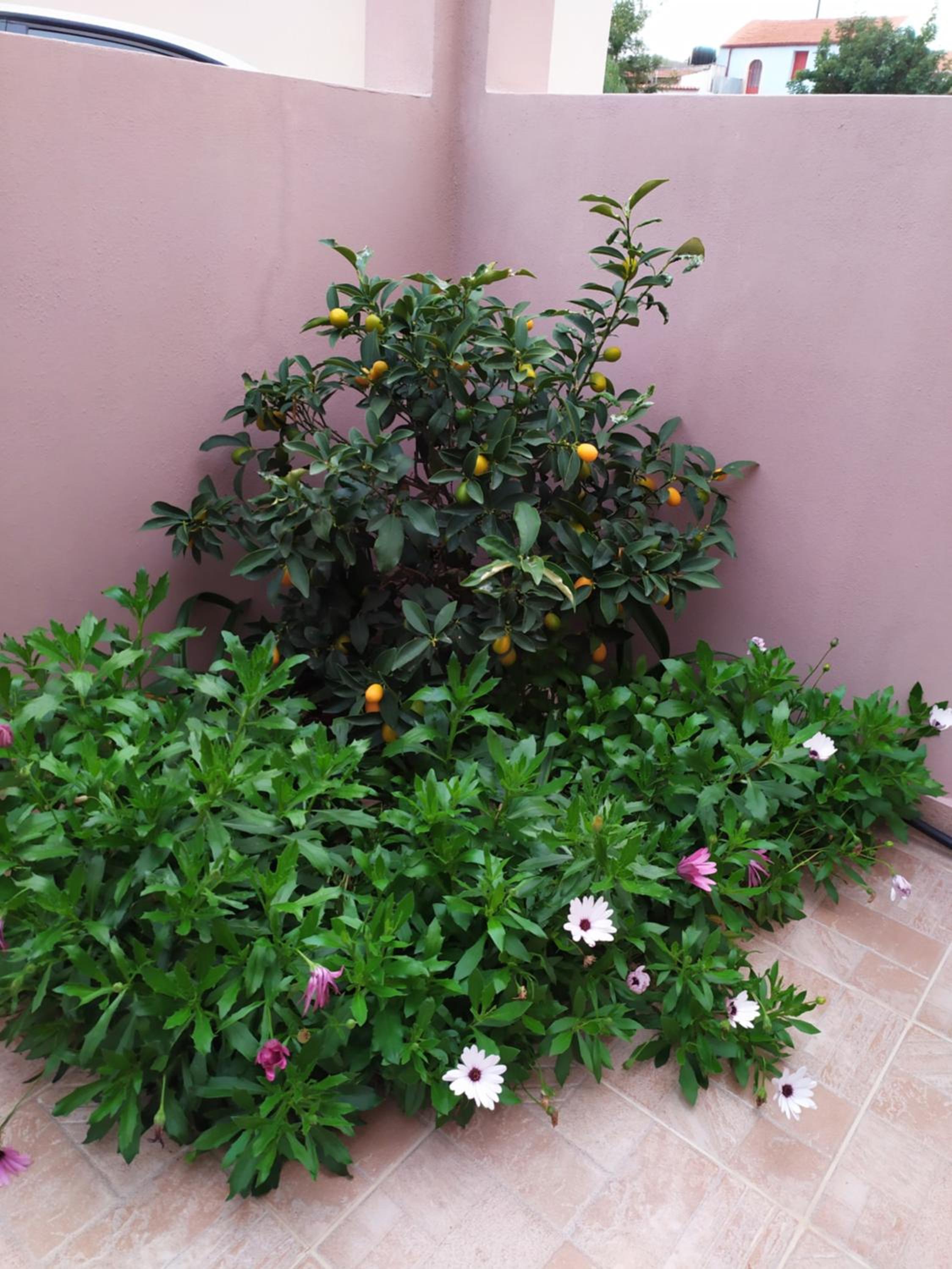 Photo 39