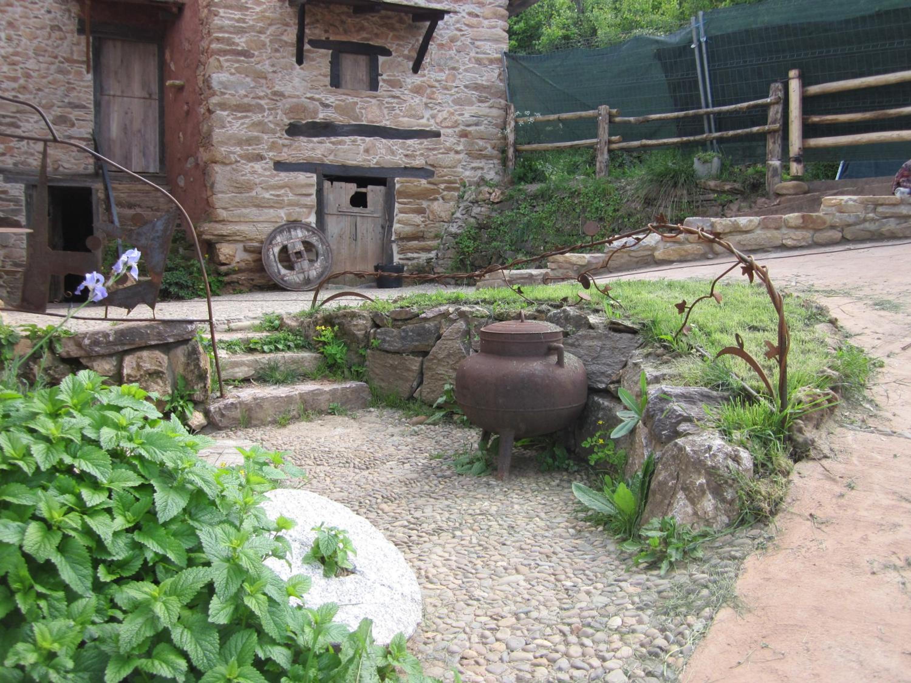Photo 11