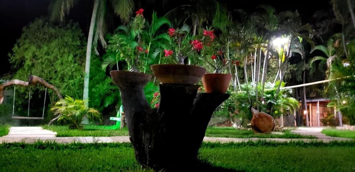 garden