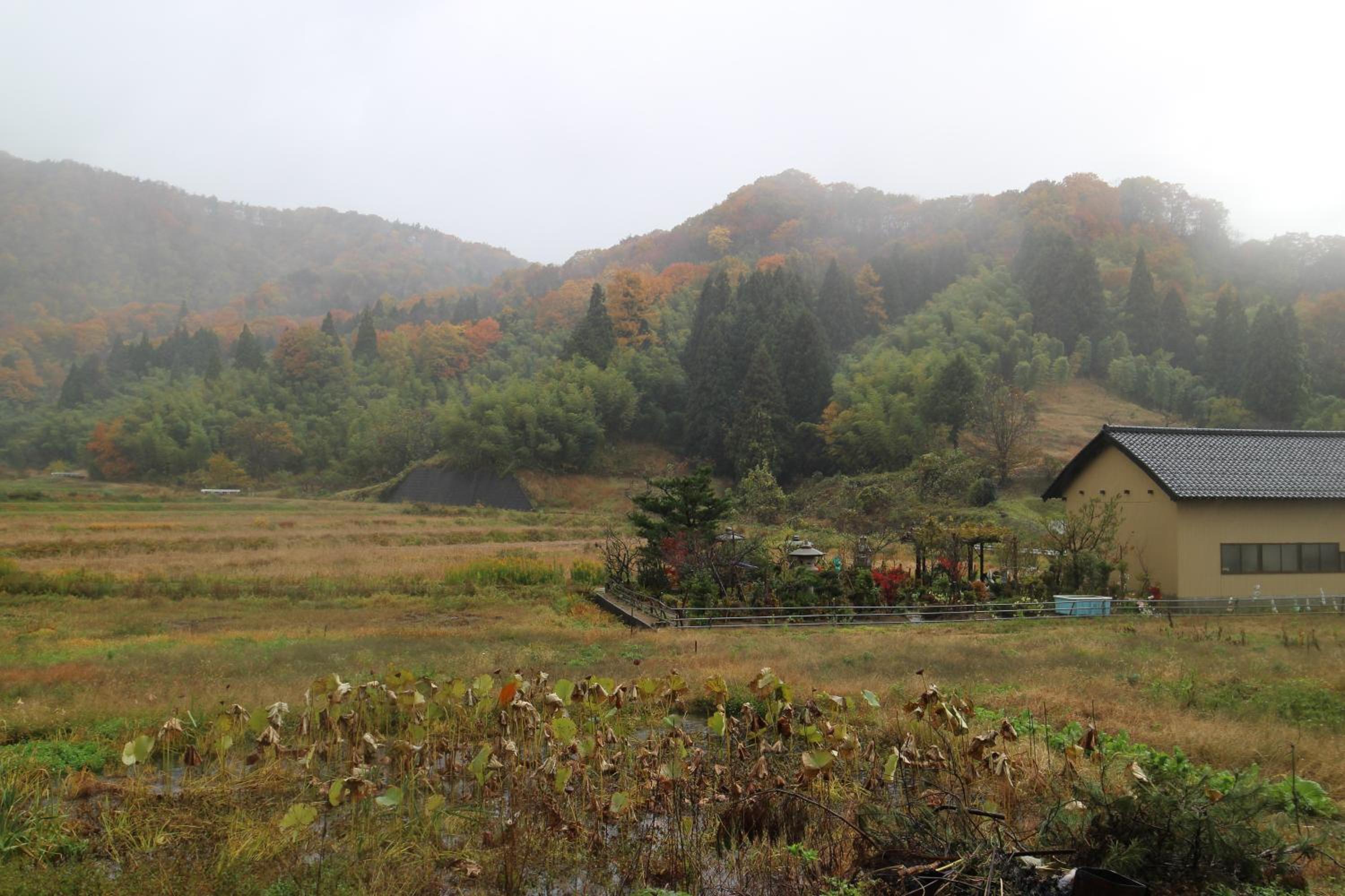 Ohanabatake view 5