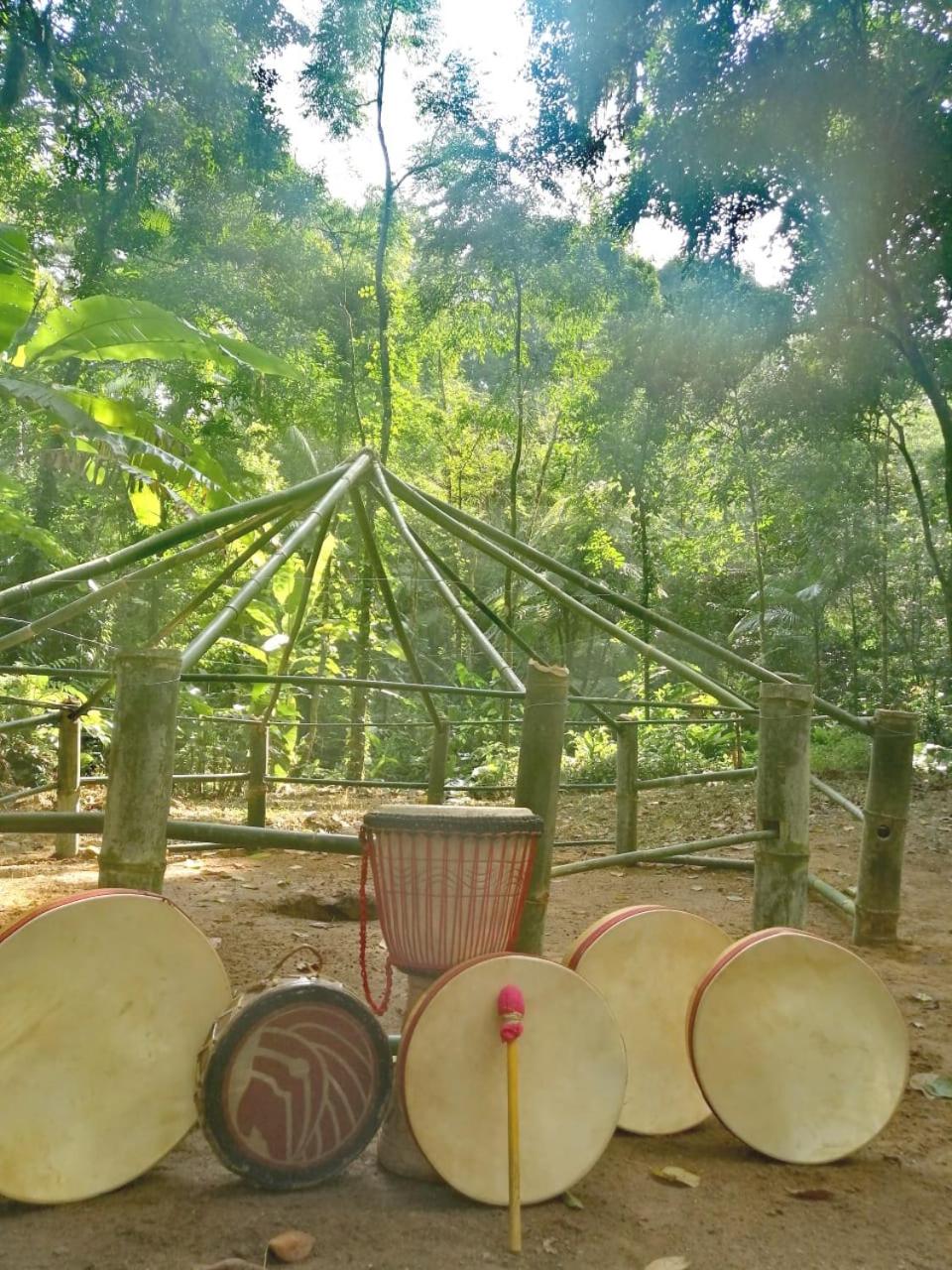 Casa Bacarirá - Floresta com Yoga e Café da Manhã Vegano