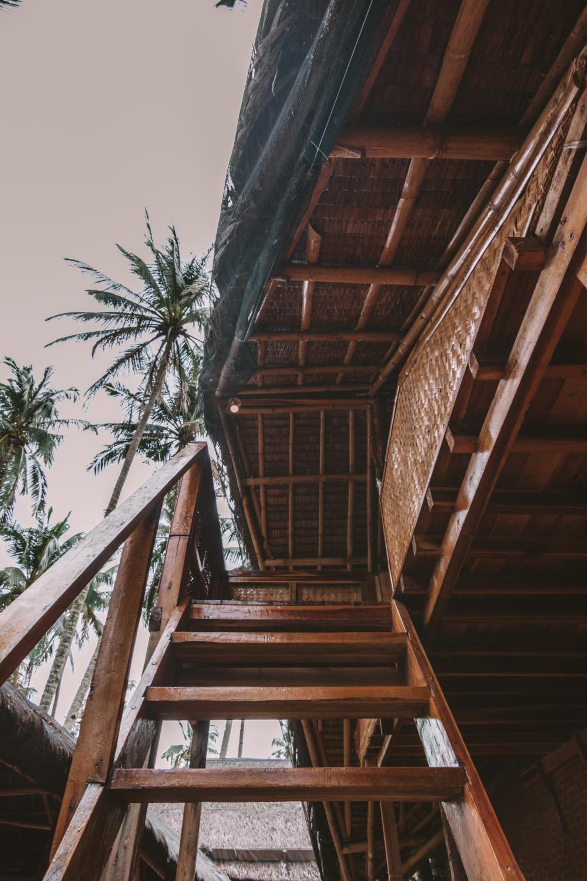 Mad Monkey Hostel Nacpan Beach — photo 42