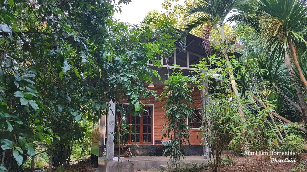 Aum Hum Homestay