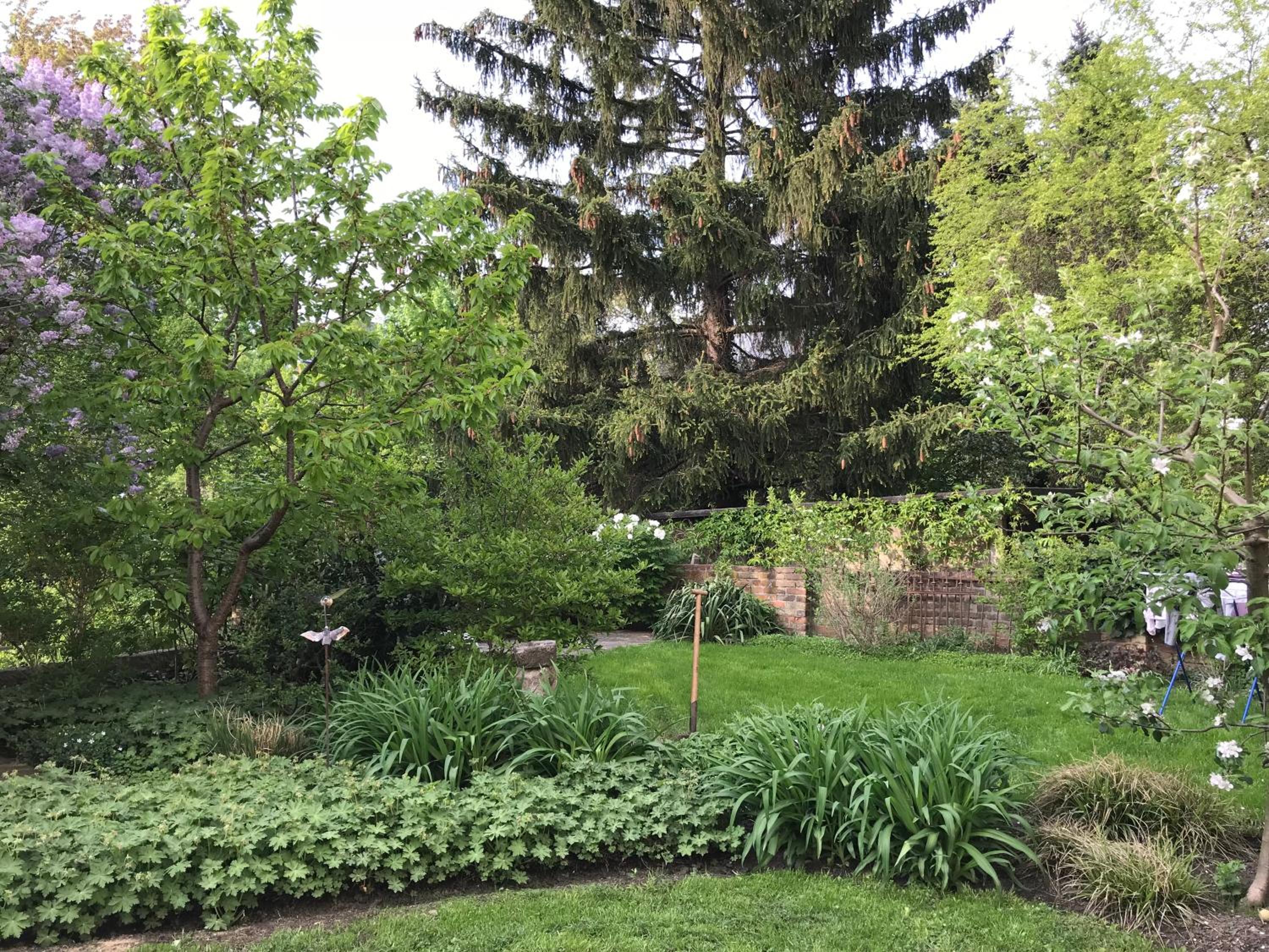 Photo 16