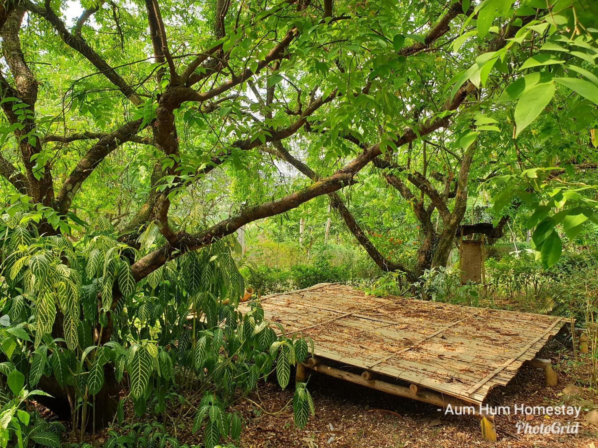 Aum Hum Homestay