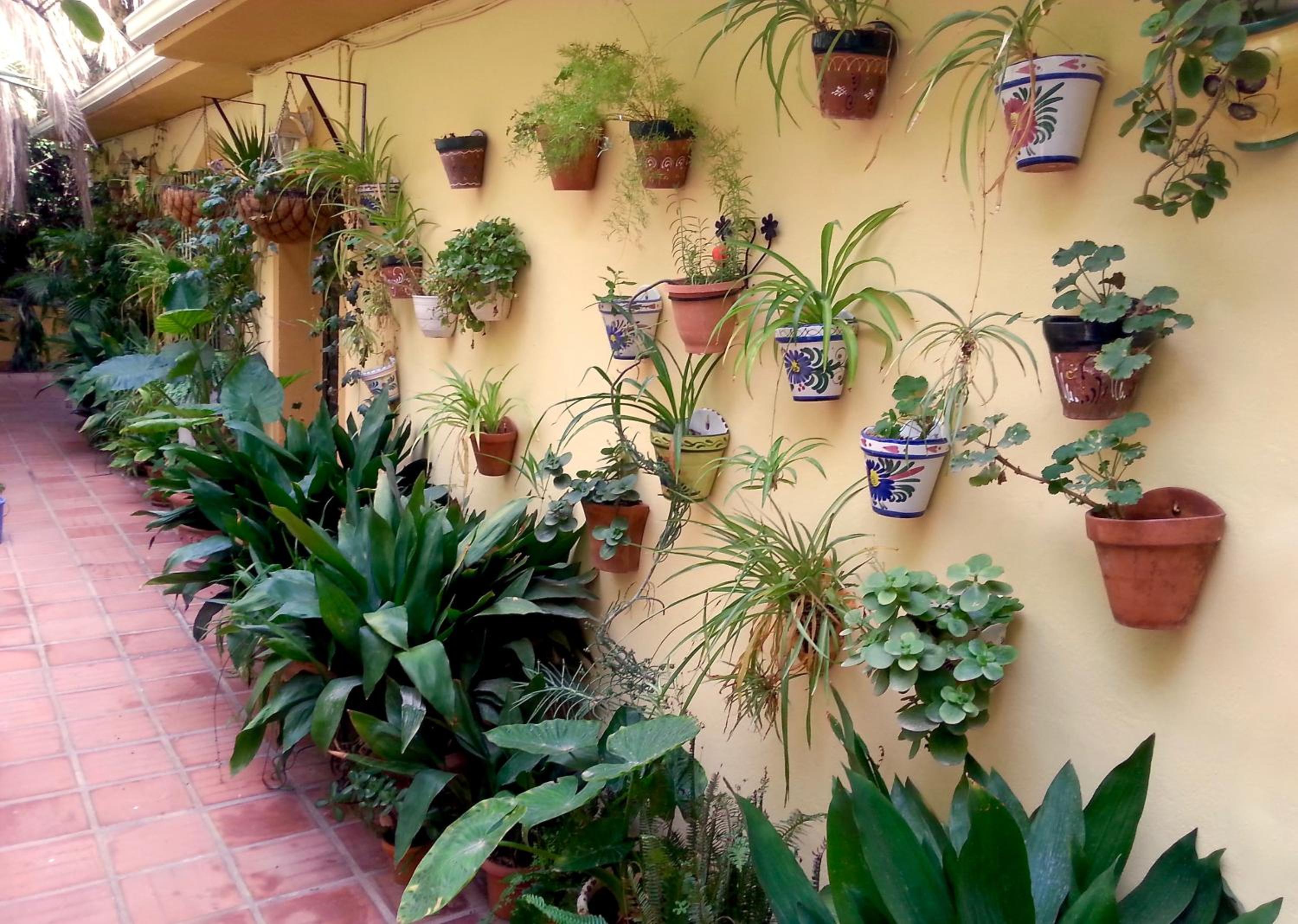 Casa Esperanza