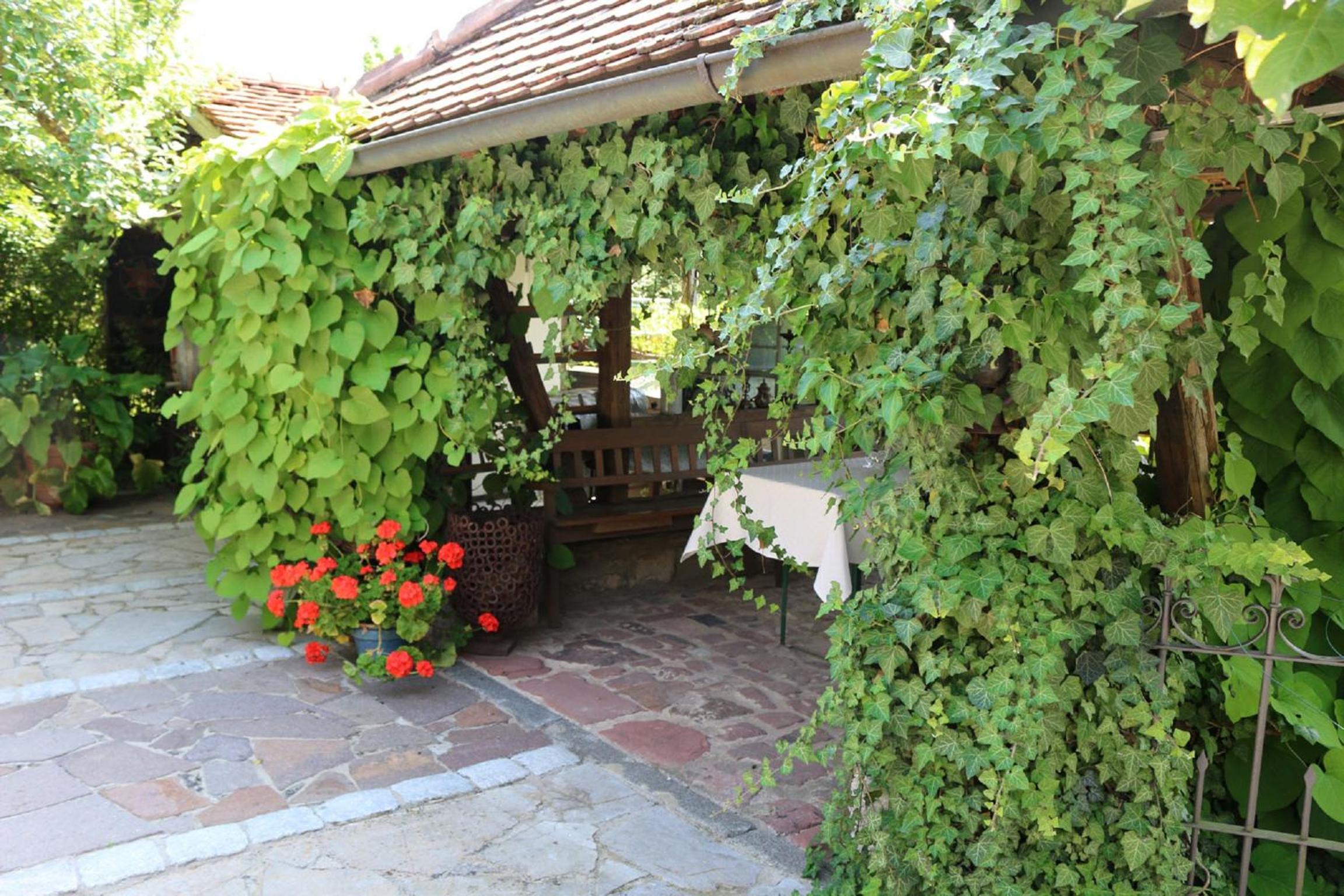 Photo 21