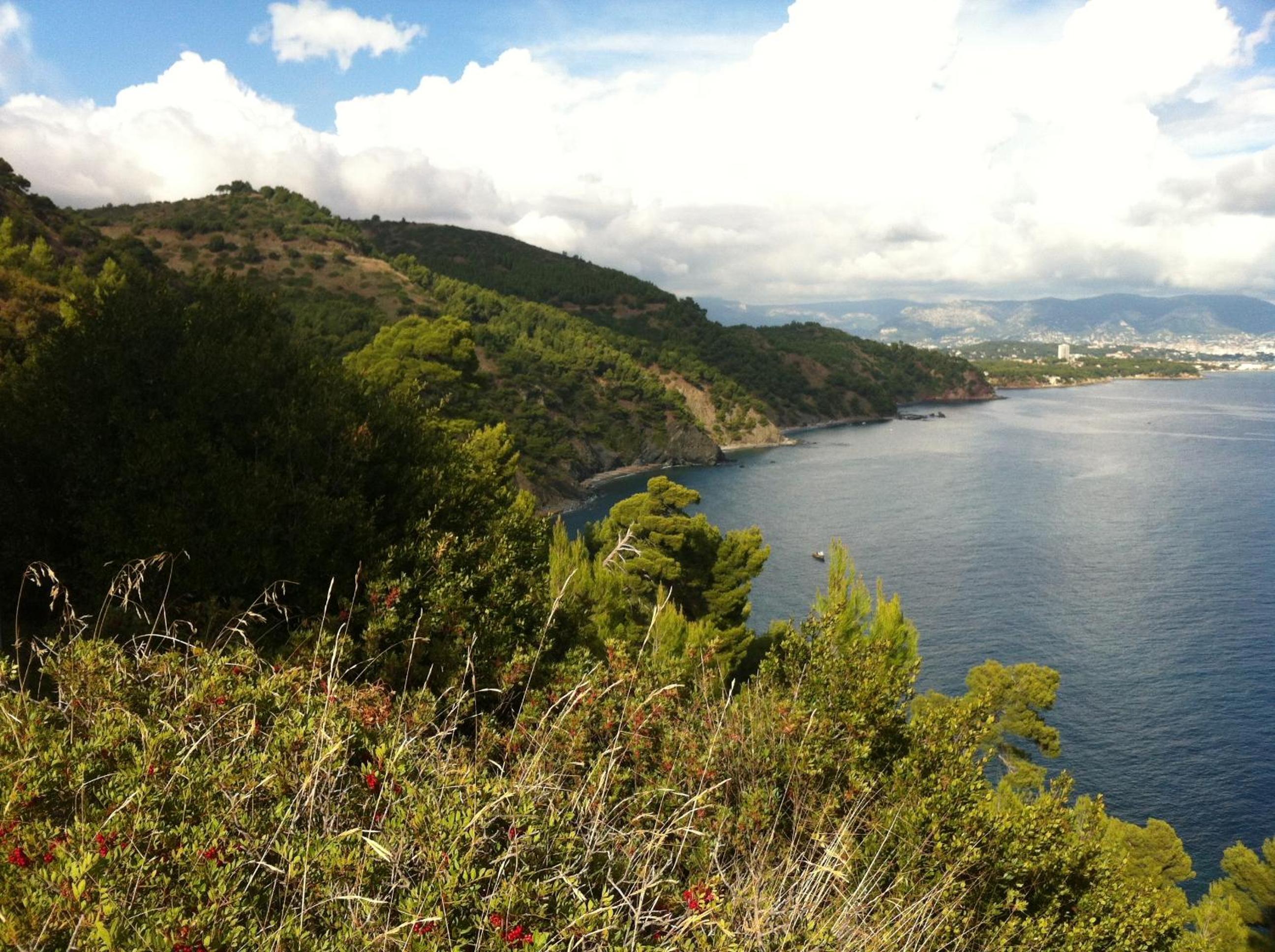 Photo 23