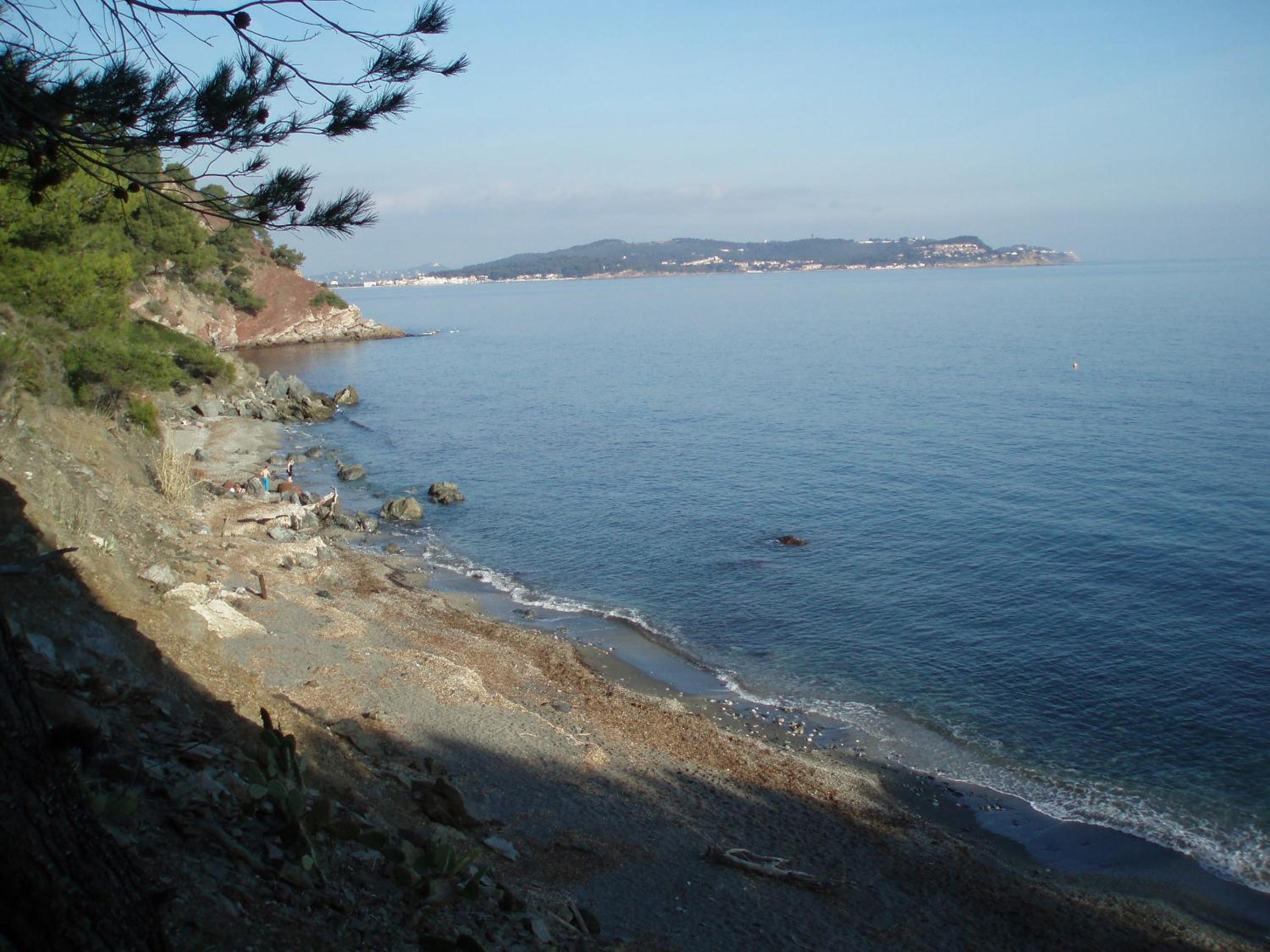 Photo 48