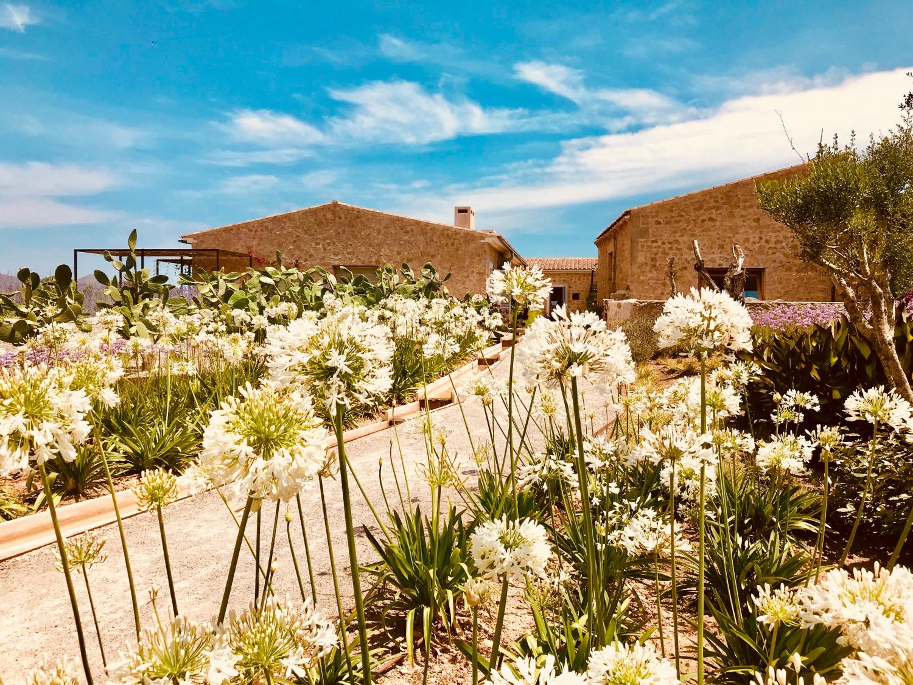 Finca Sestelrica