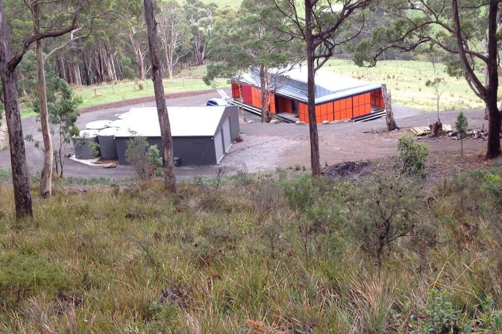 The Orange House