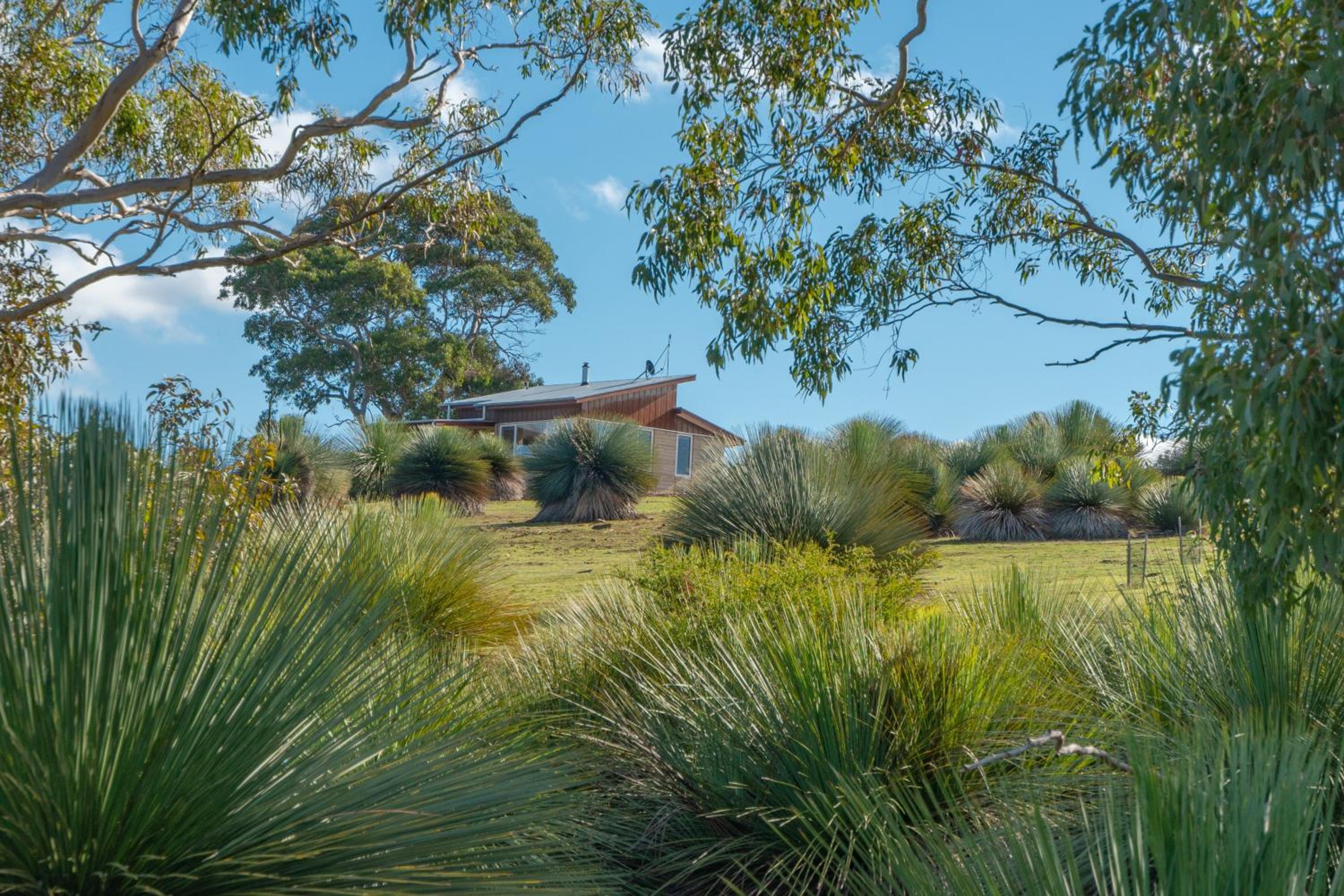 Ecopia Retreat