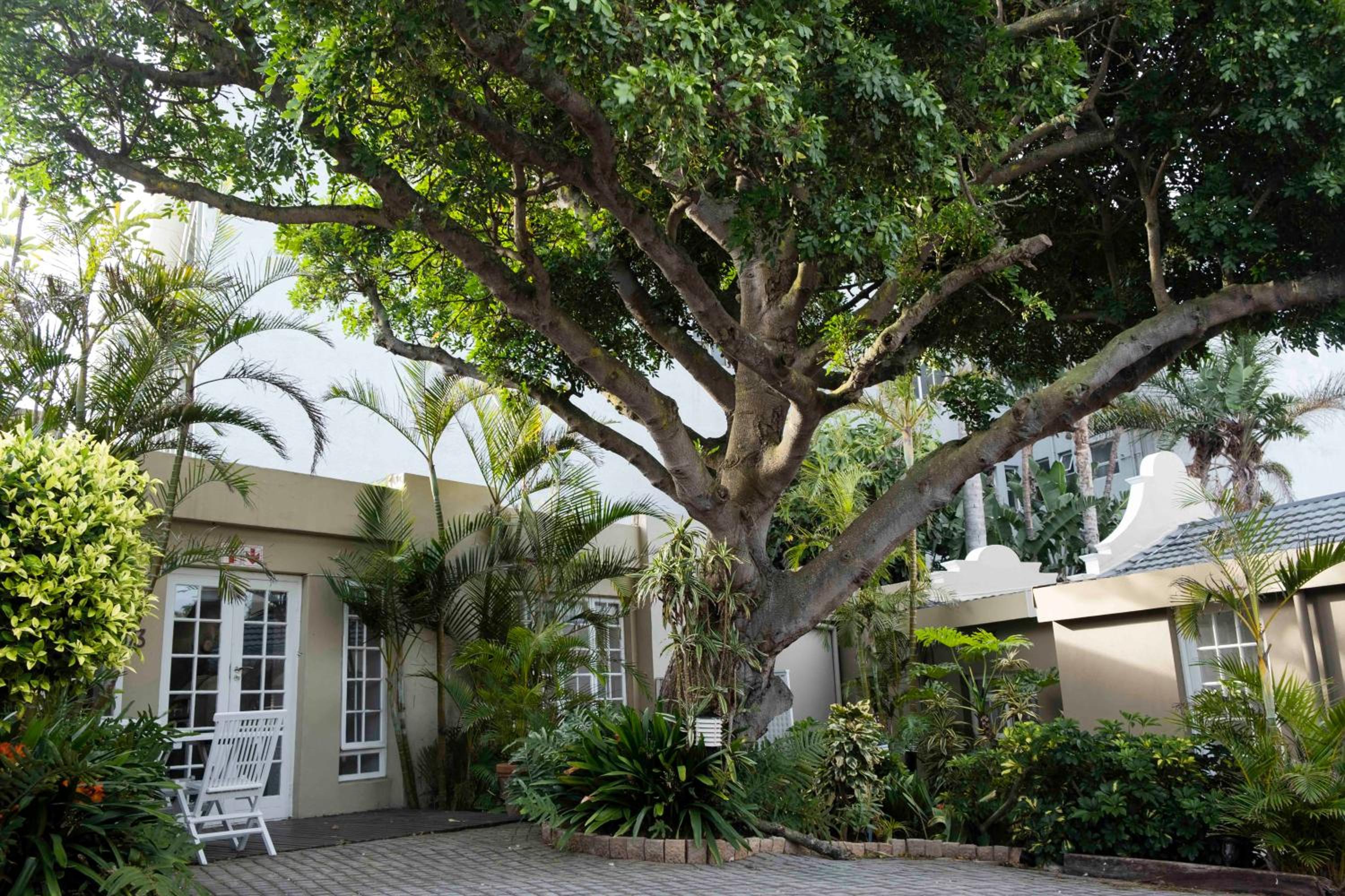 Conifer Beach House